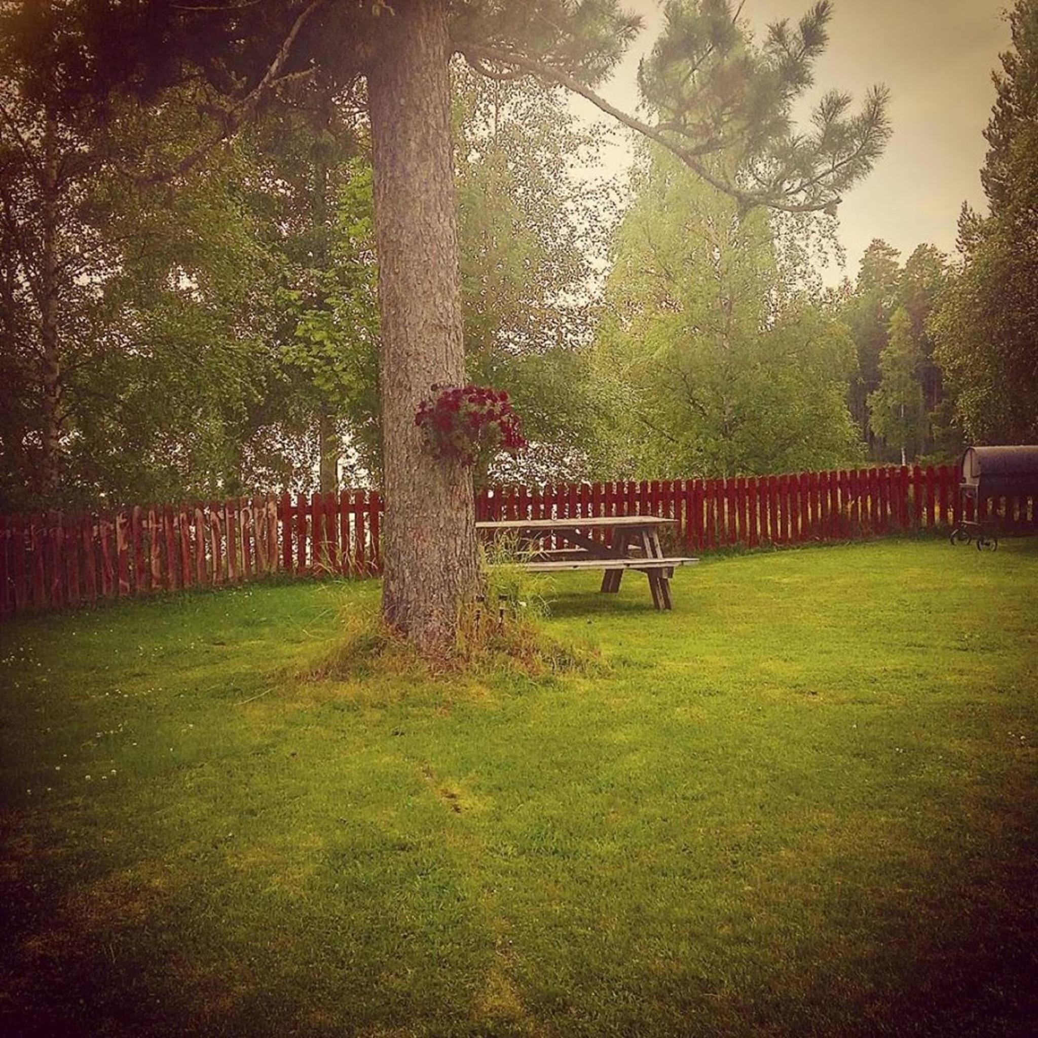 Photo 9