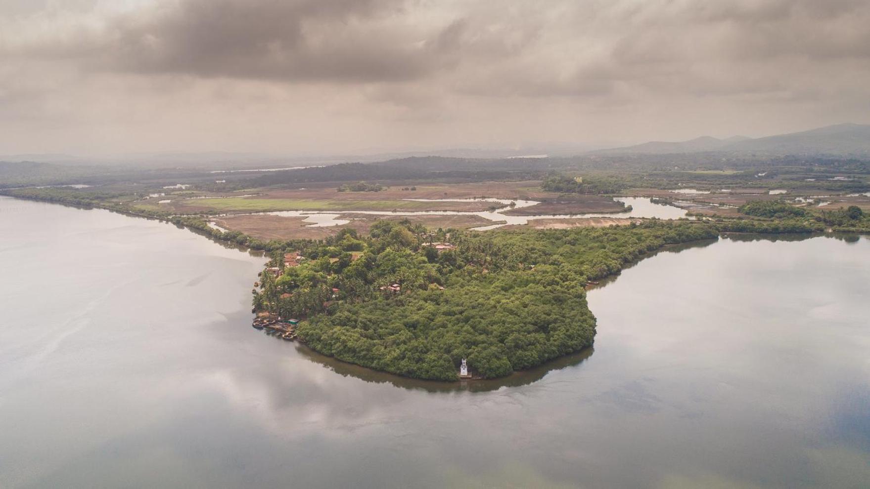 Mae Terra - 4BHK Villa with Infinity Pool on Chorao Island view 4