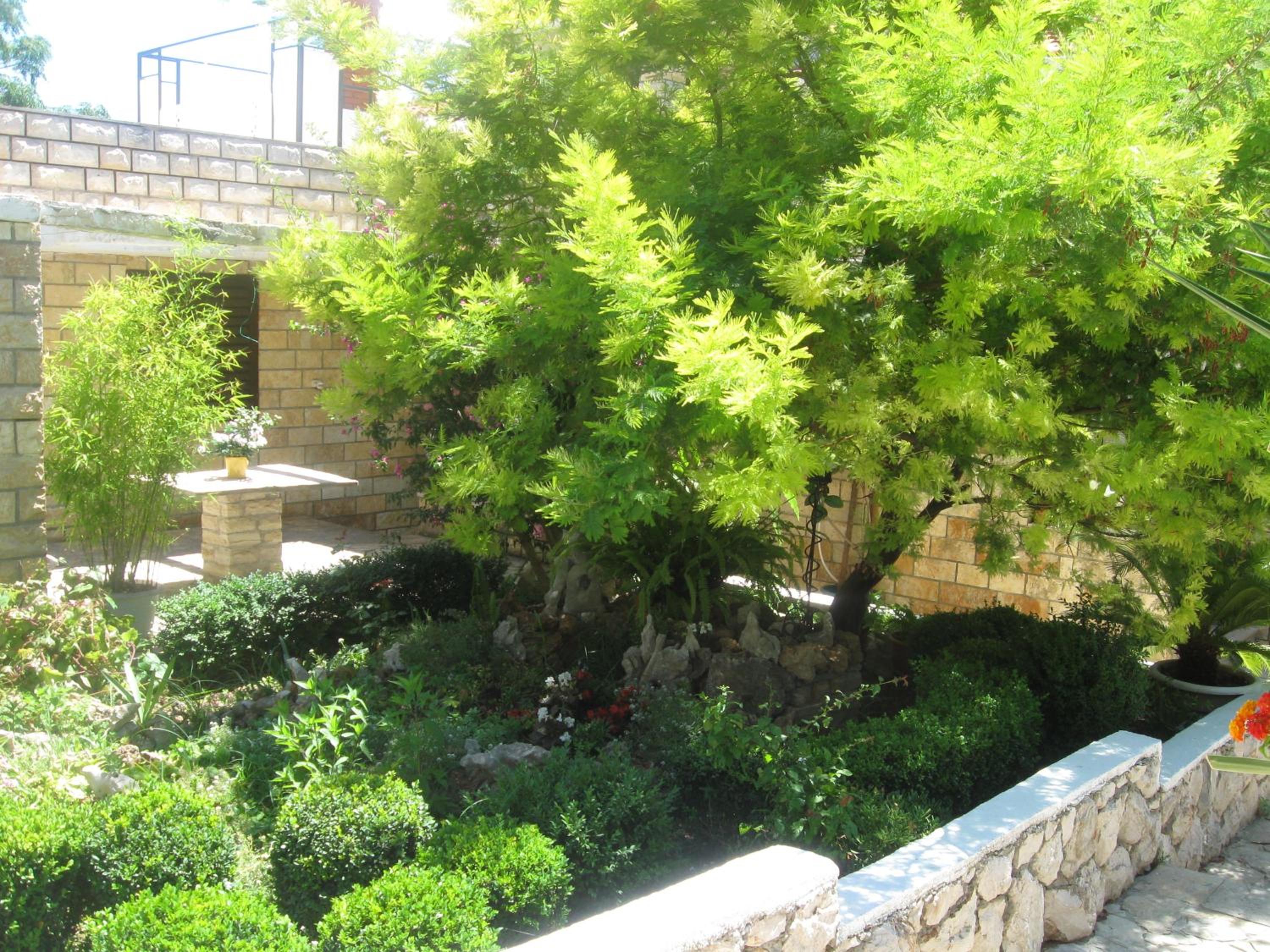 Photo 43