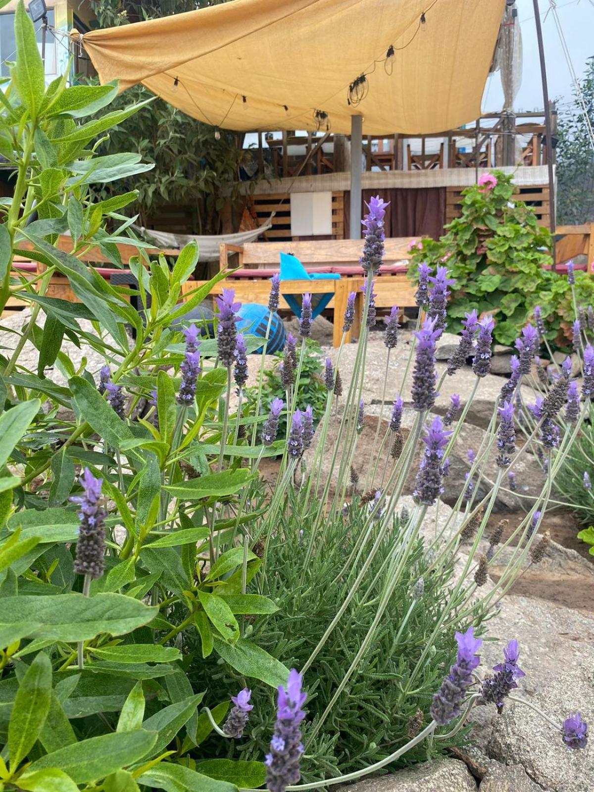 Habitación Matrimonial en Totoralillo Glamping