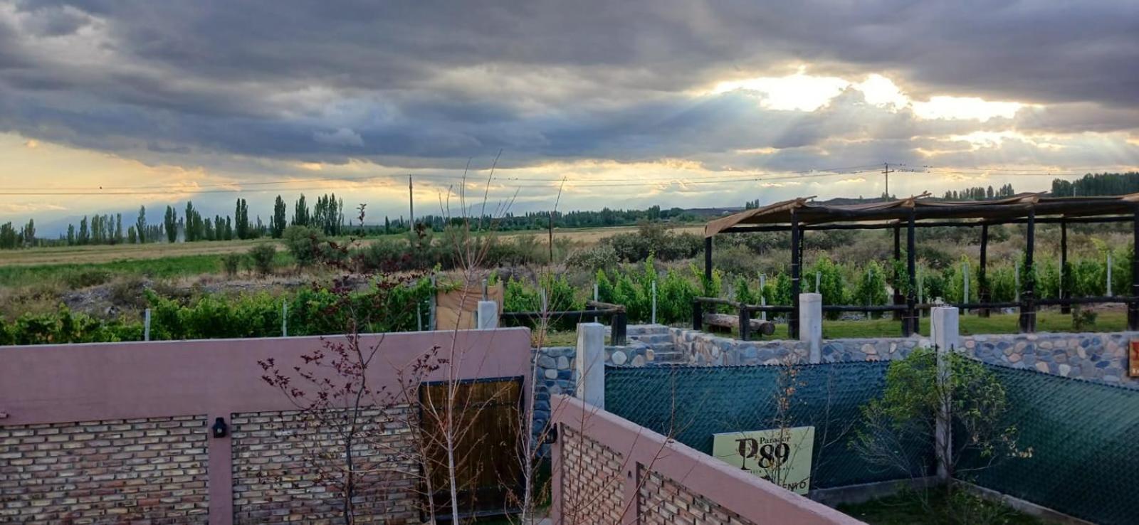 Bodega Parador89