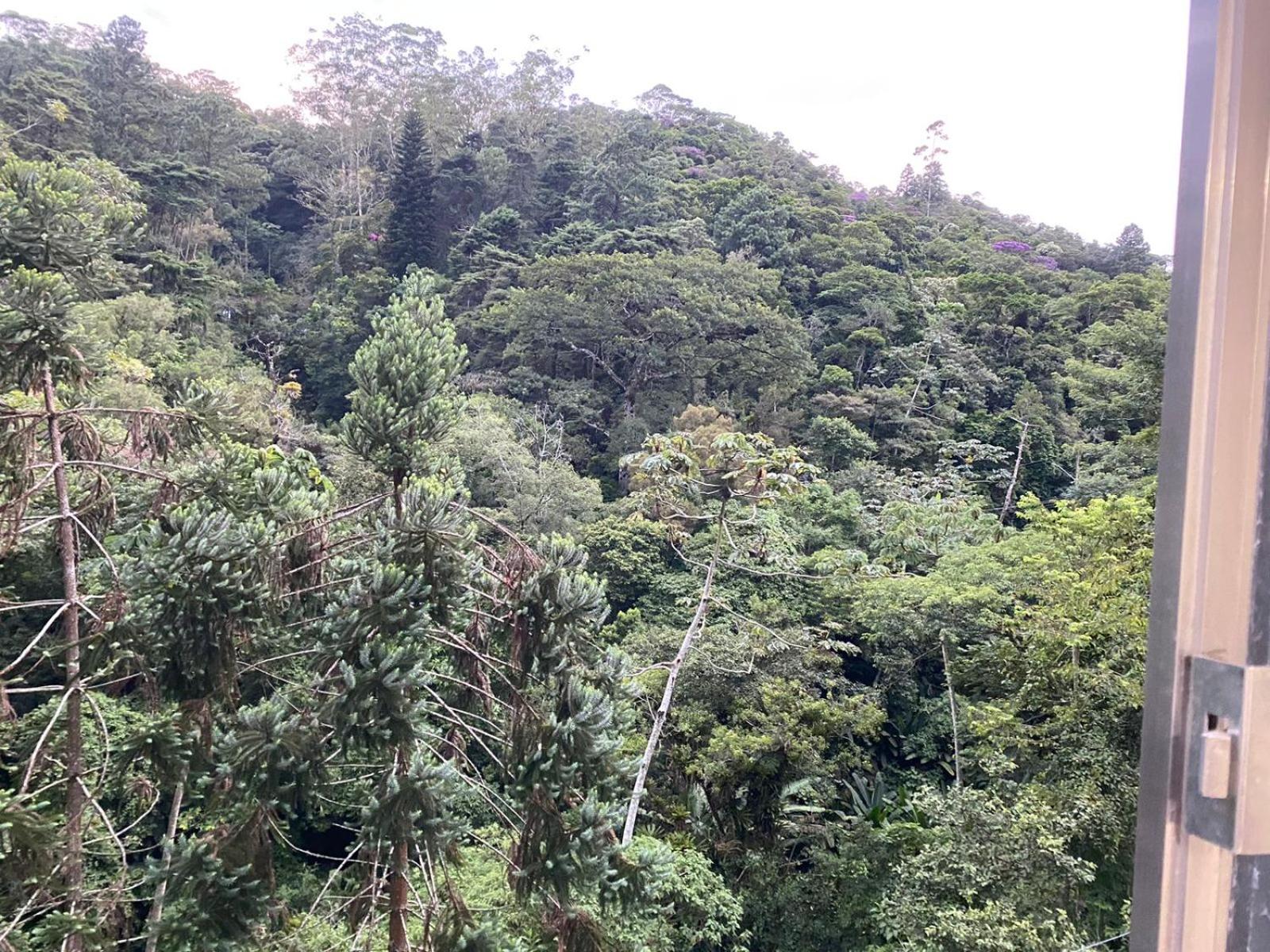ASCB Petrópolis