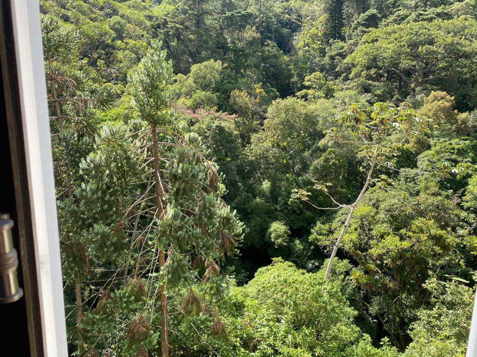 ASCB Petrópolis