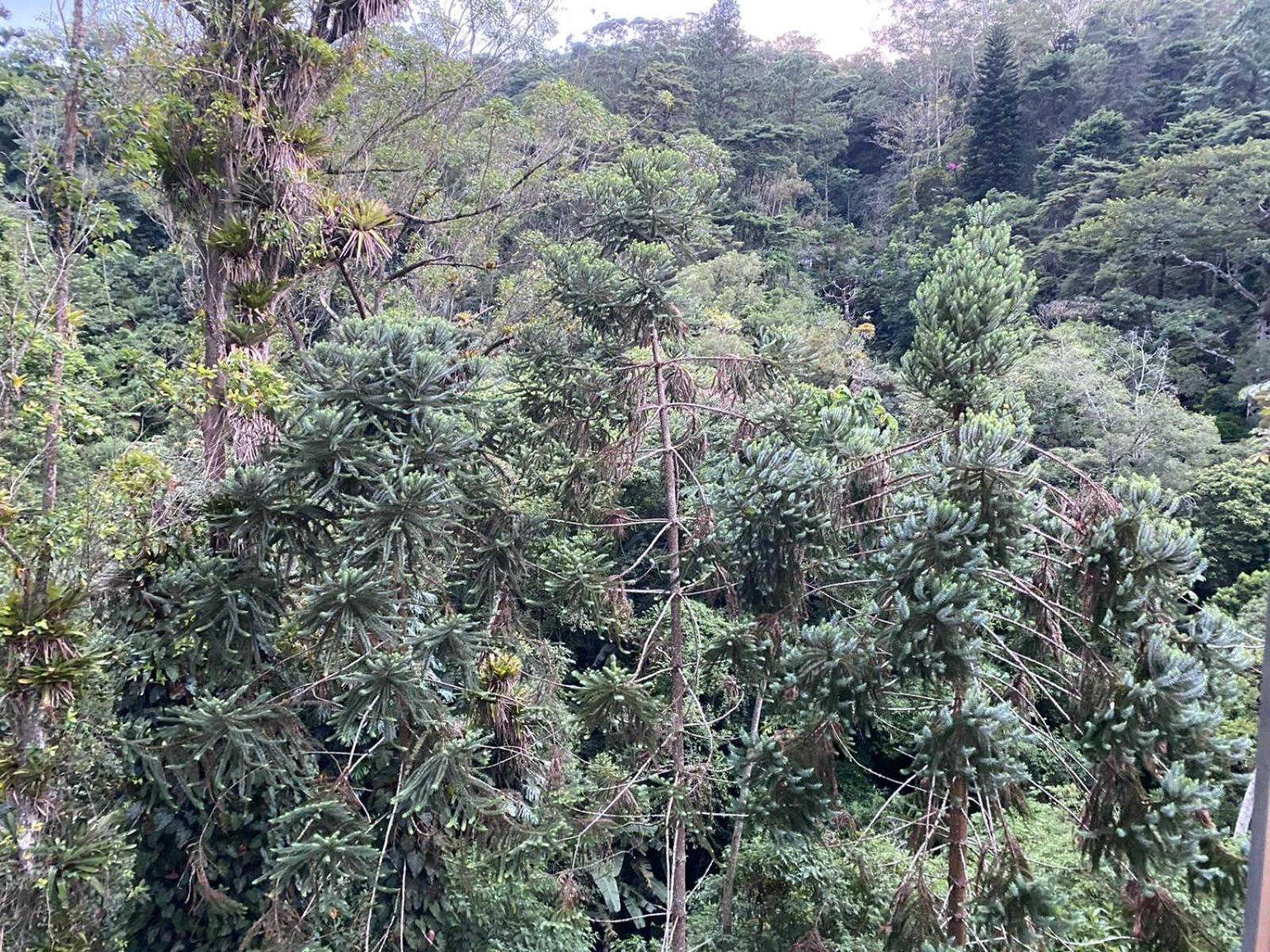 ASCB Petrópolis