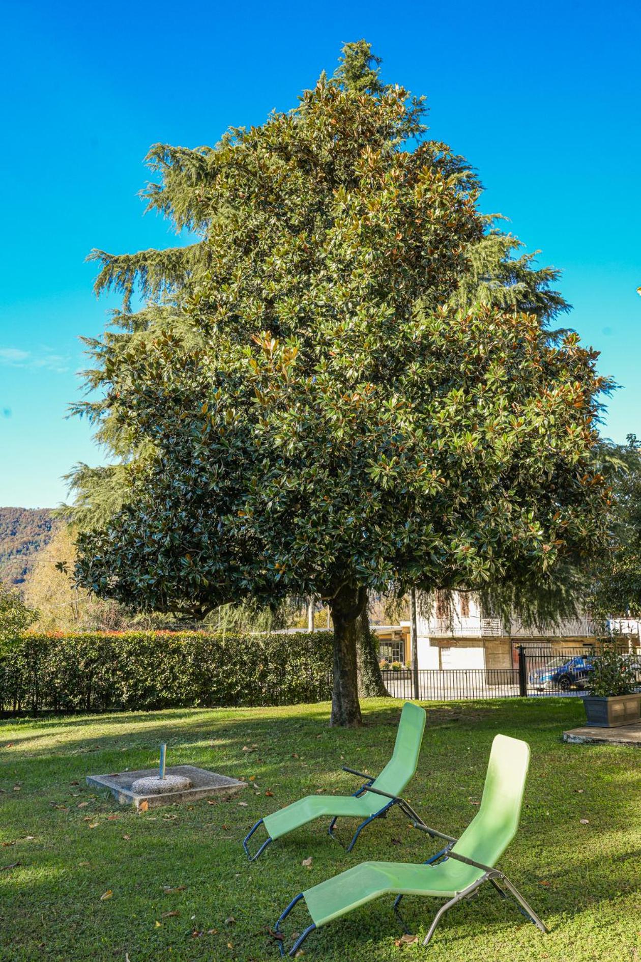 La Magnolia view 3