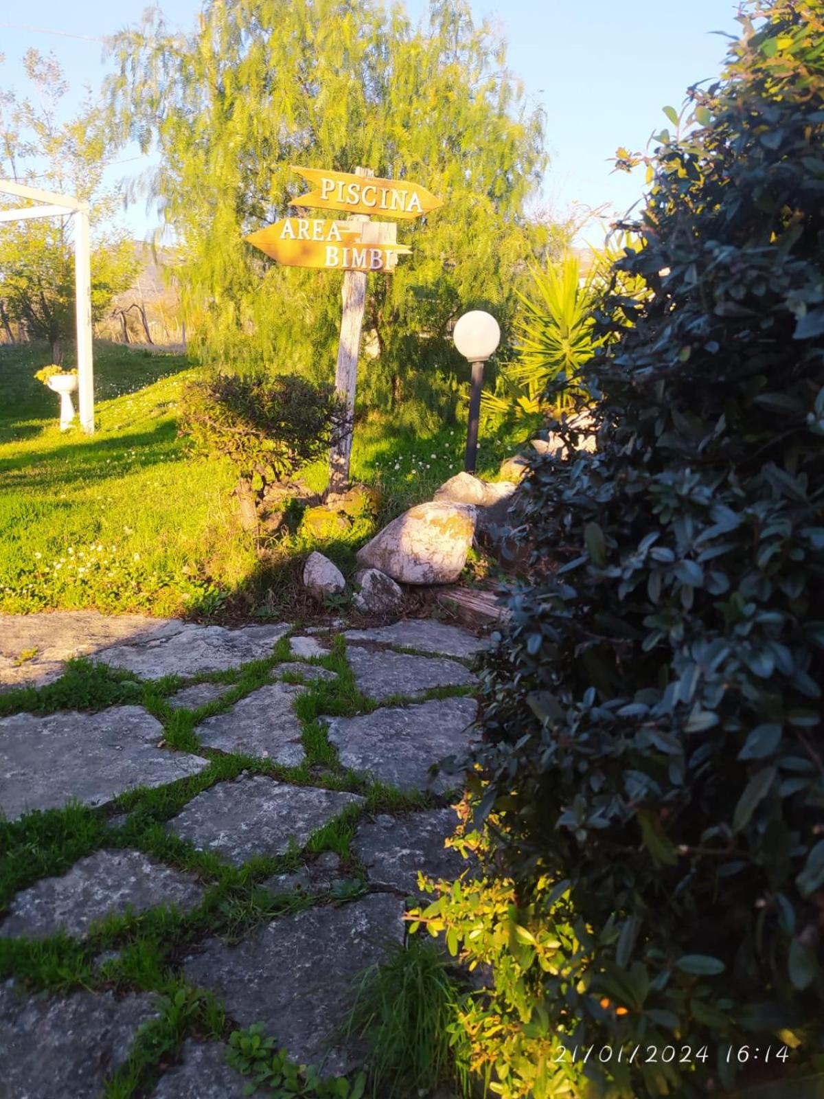Photo 9