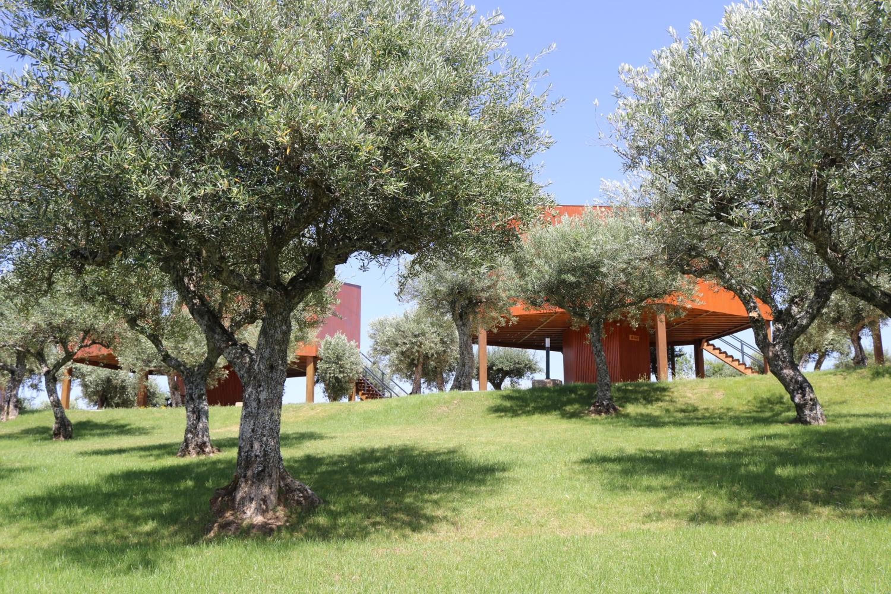 Hotel CÔA HONEYCOMB - Image 1