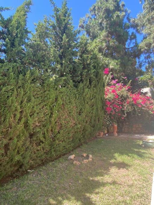 Villa Perla close to beach with a private pool view 4