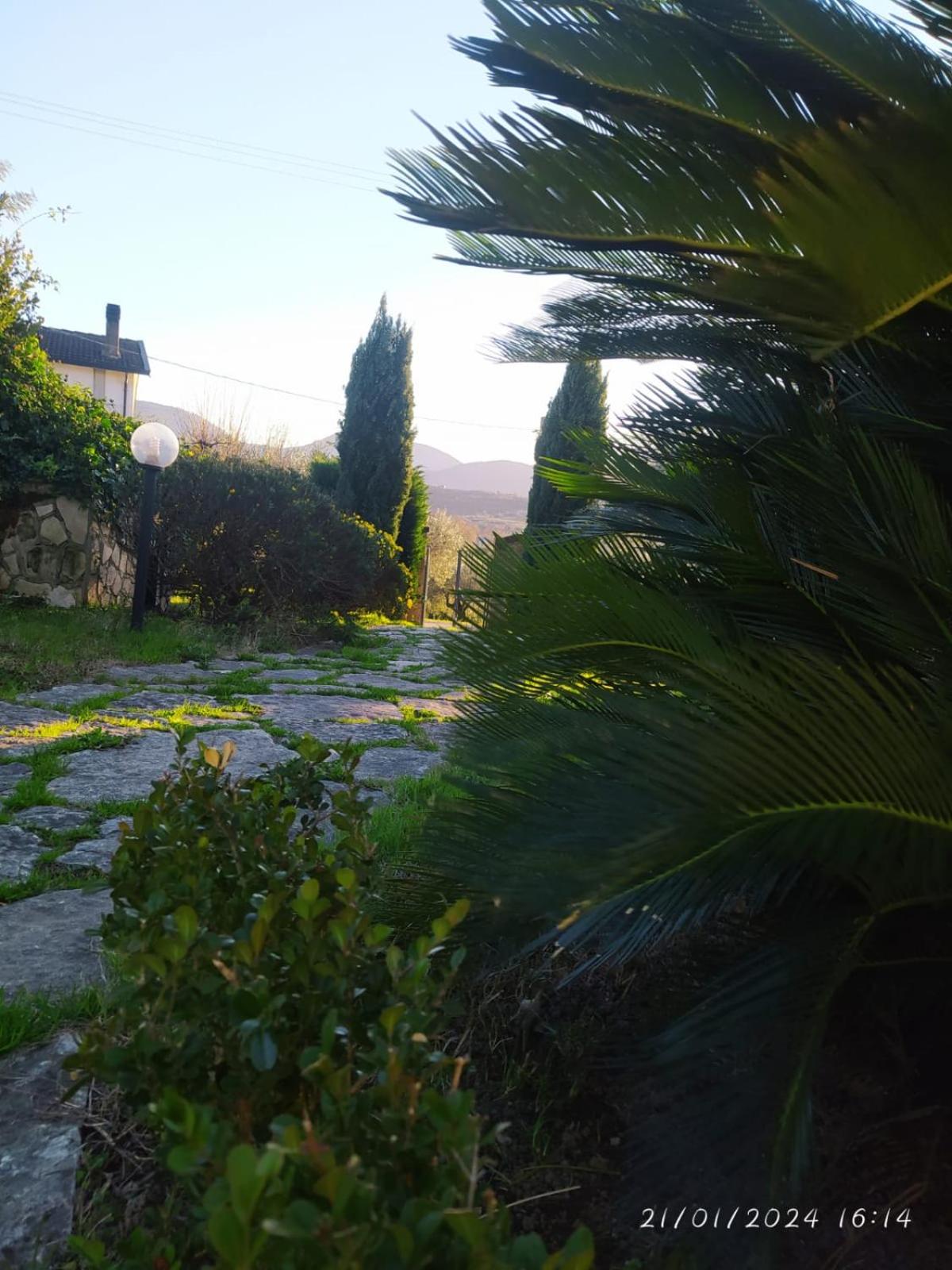 Photo 10