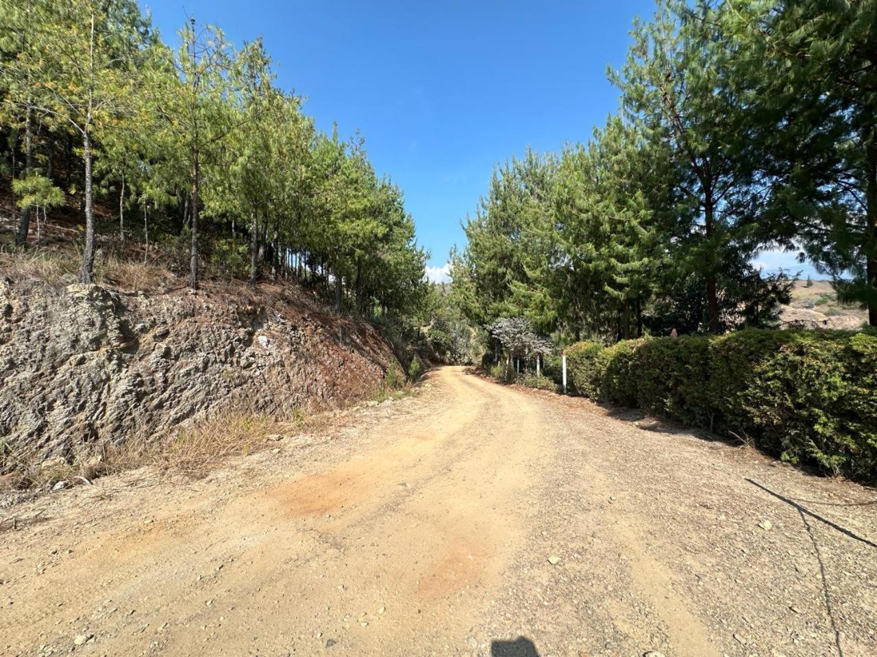 Finca Villa Maria - Cabaña