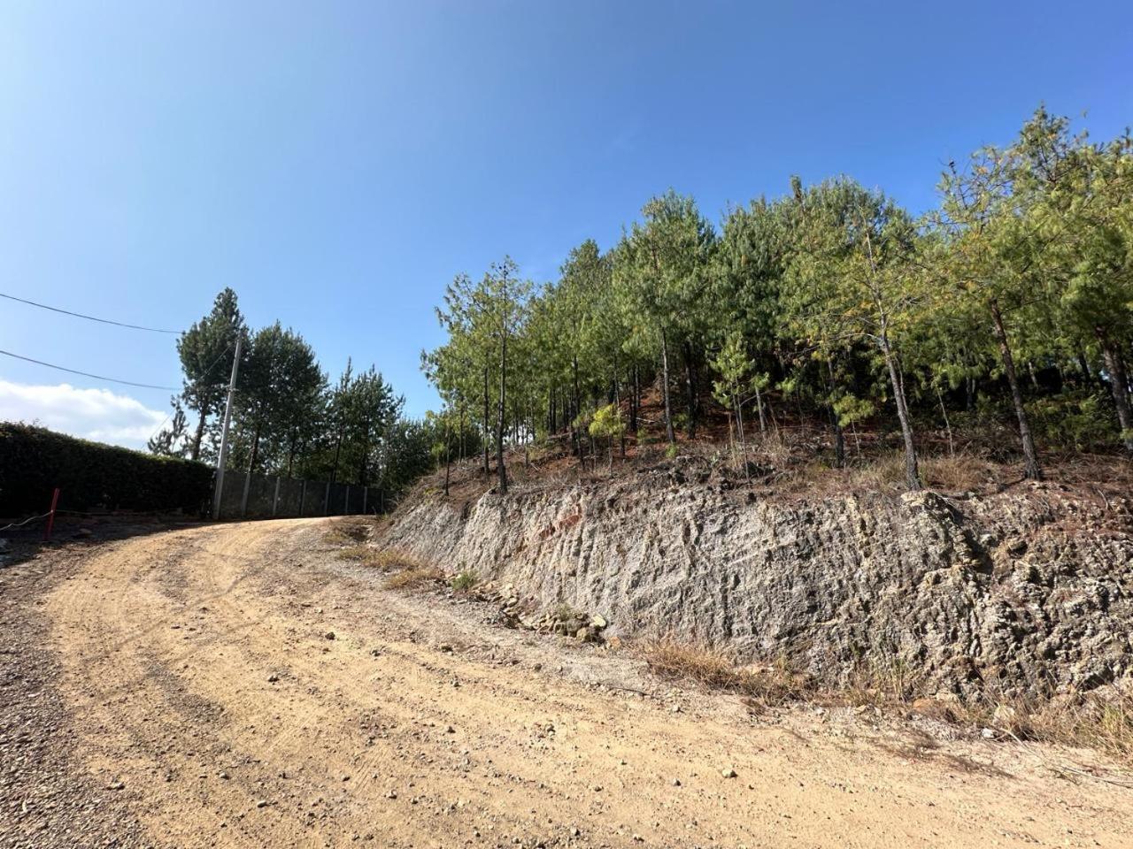 Finca Villa Maria - Cabaña