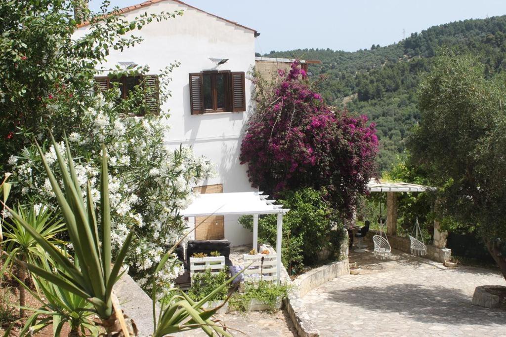 Villa Olivia Sul Gargano Tra Mare e Verde view 5