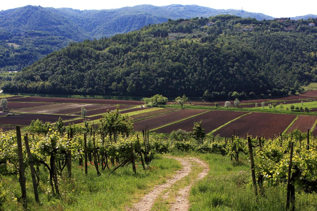 Fattoria Le Vegre view 2