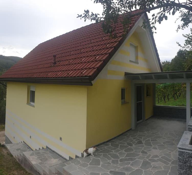 moderno opremljena hiša z odmaknjeno lokacijo view 3