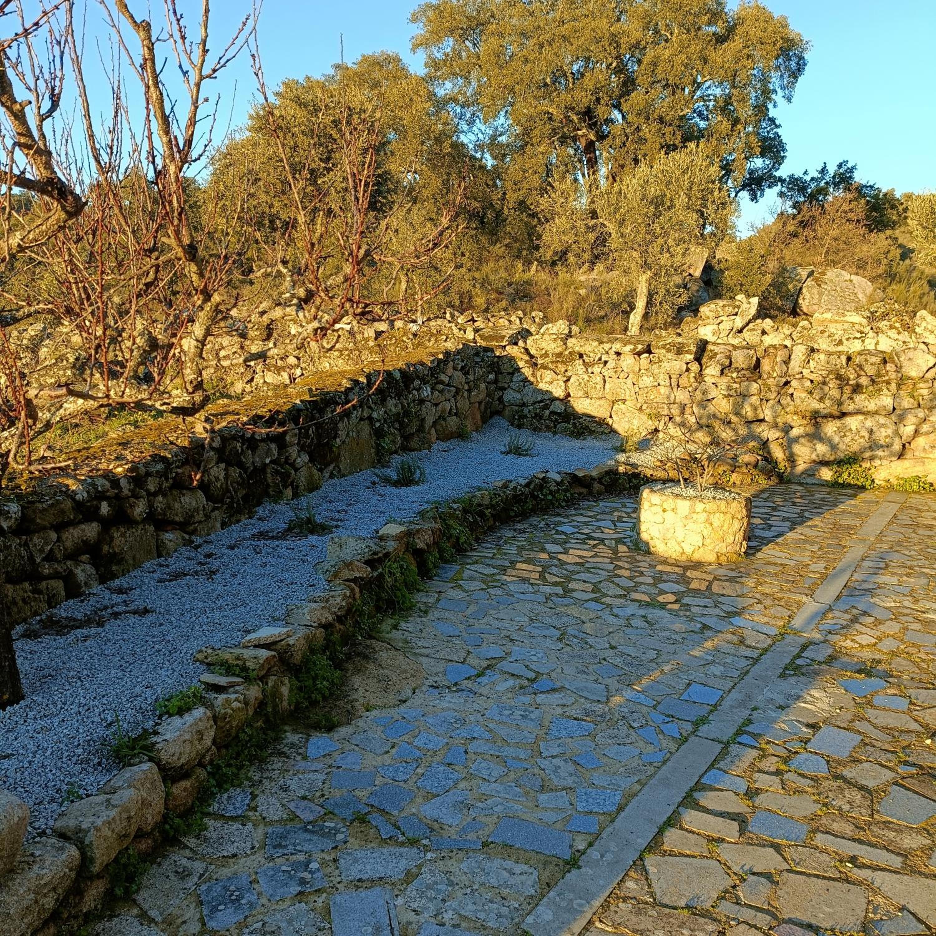 Photo 22