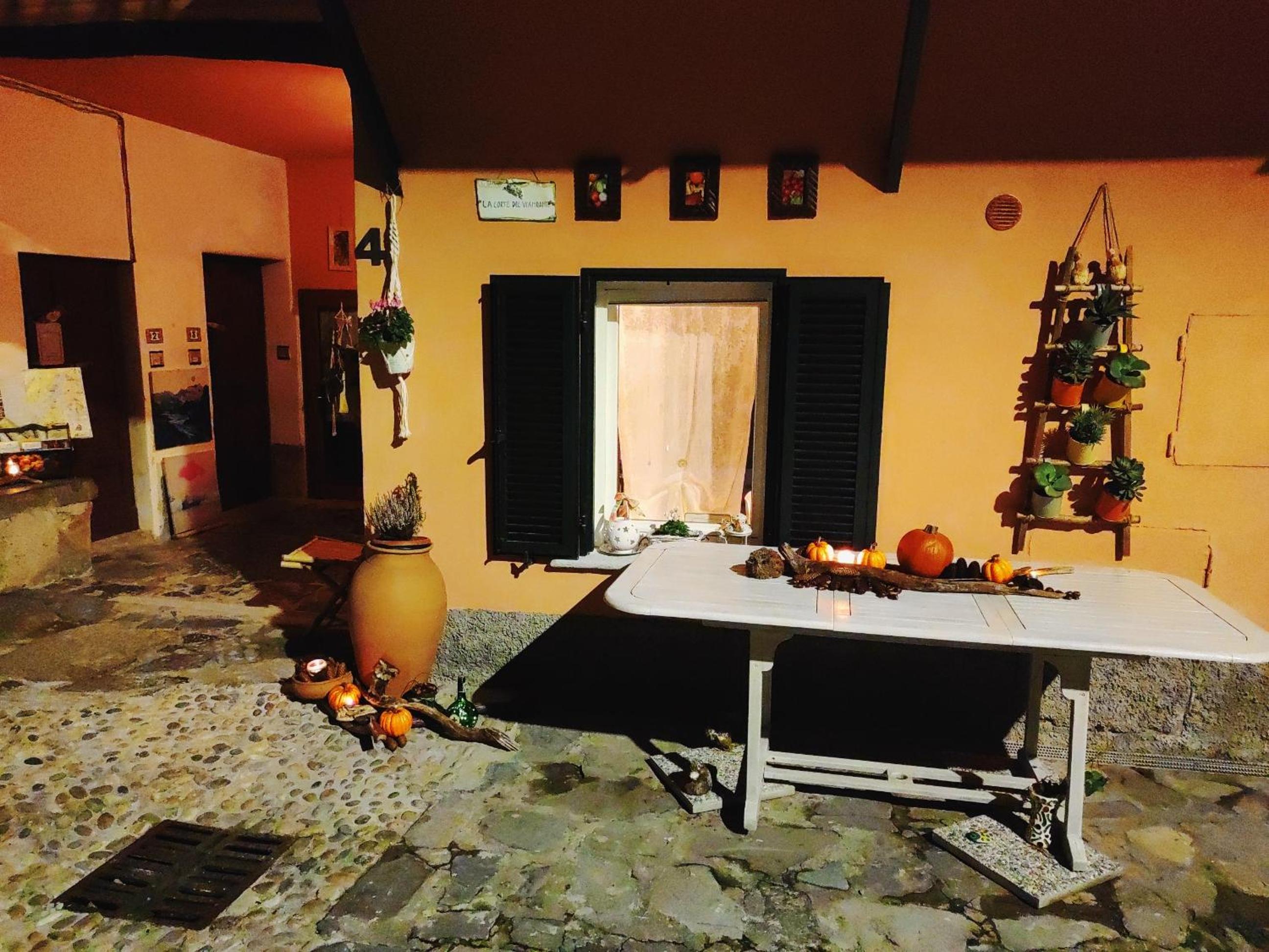 Photo 44