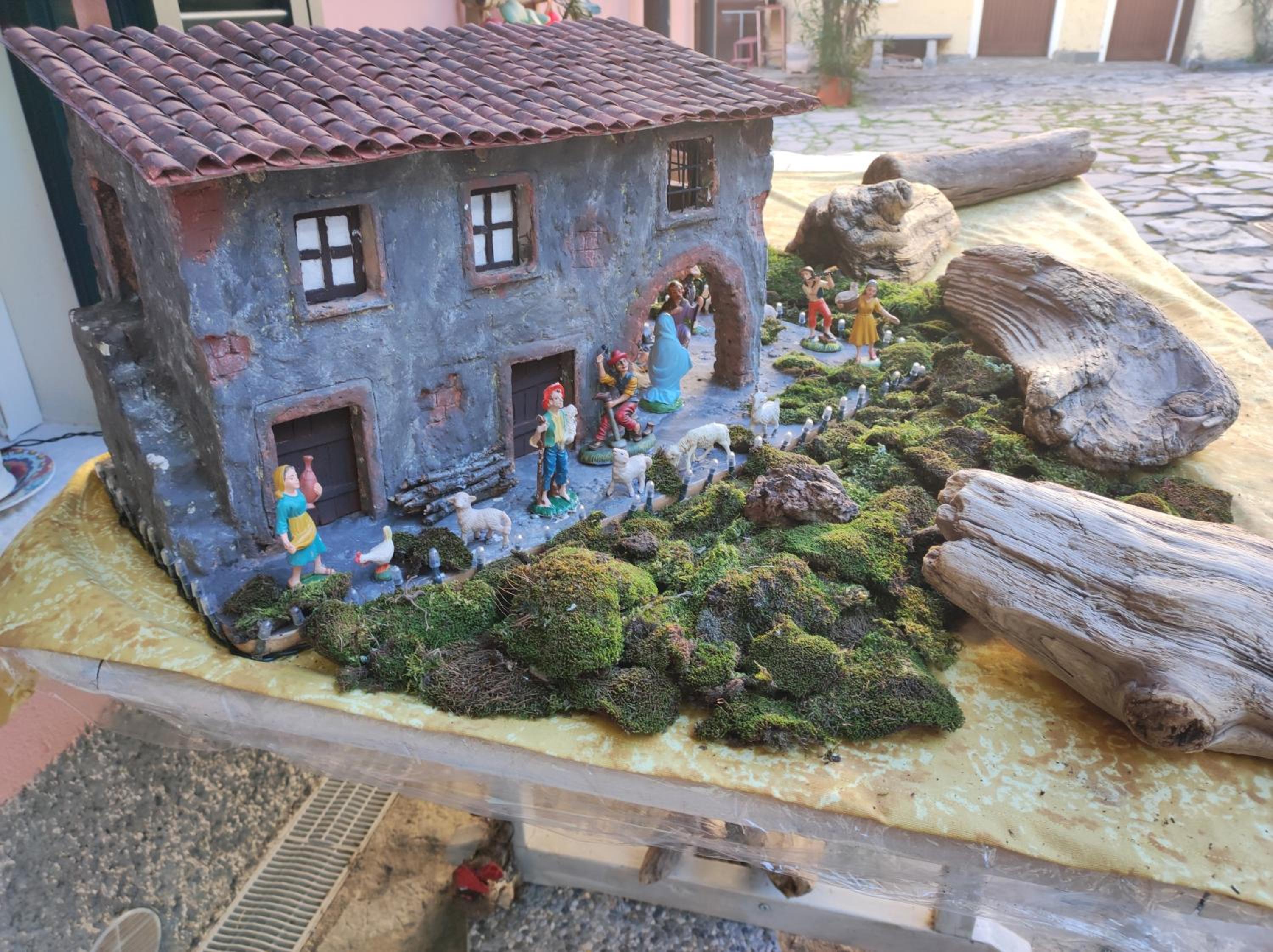 Photo 49