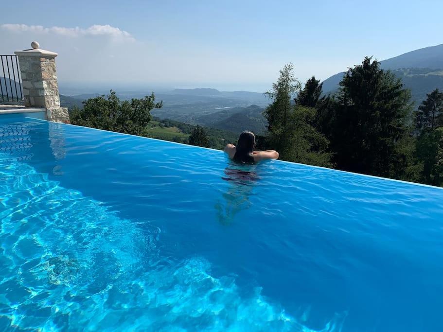 Villa Manerba: vista lago e piscina privata view 4