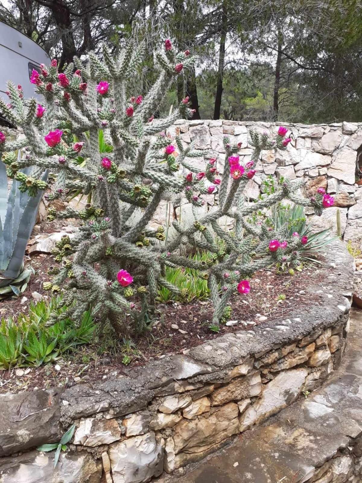 Photo 16