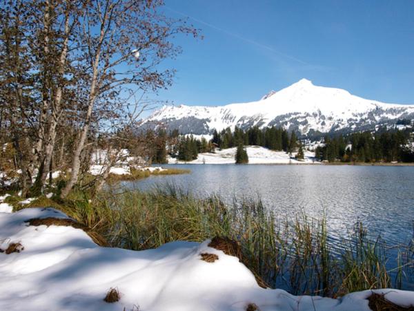 Hotel Saanerhof