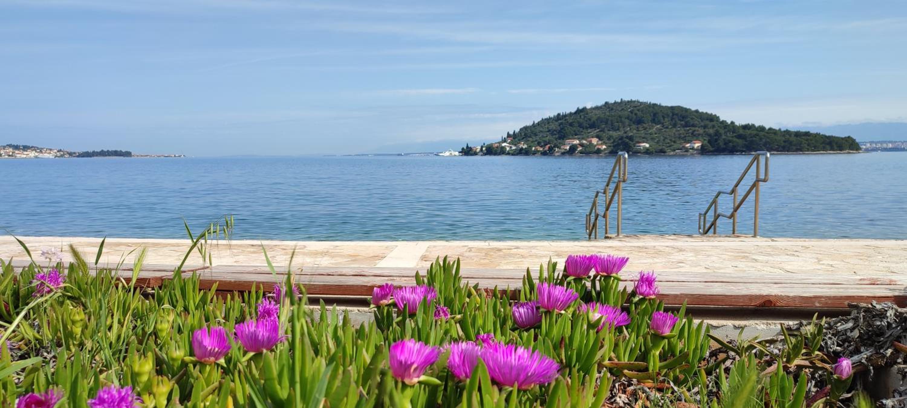Sea Breeze Suite - Beachfront