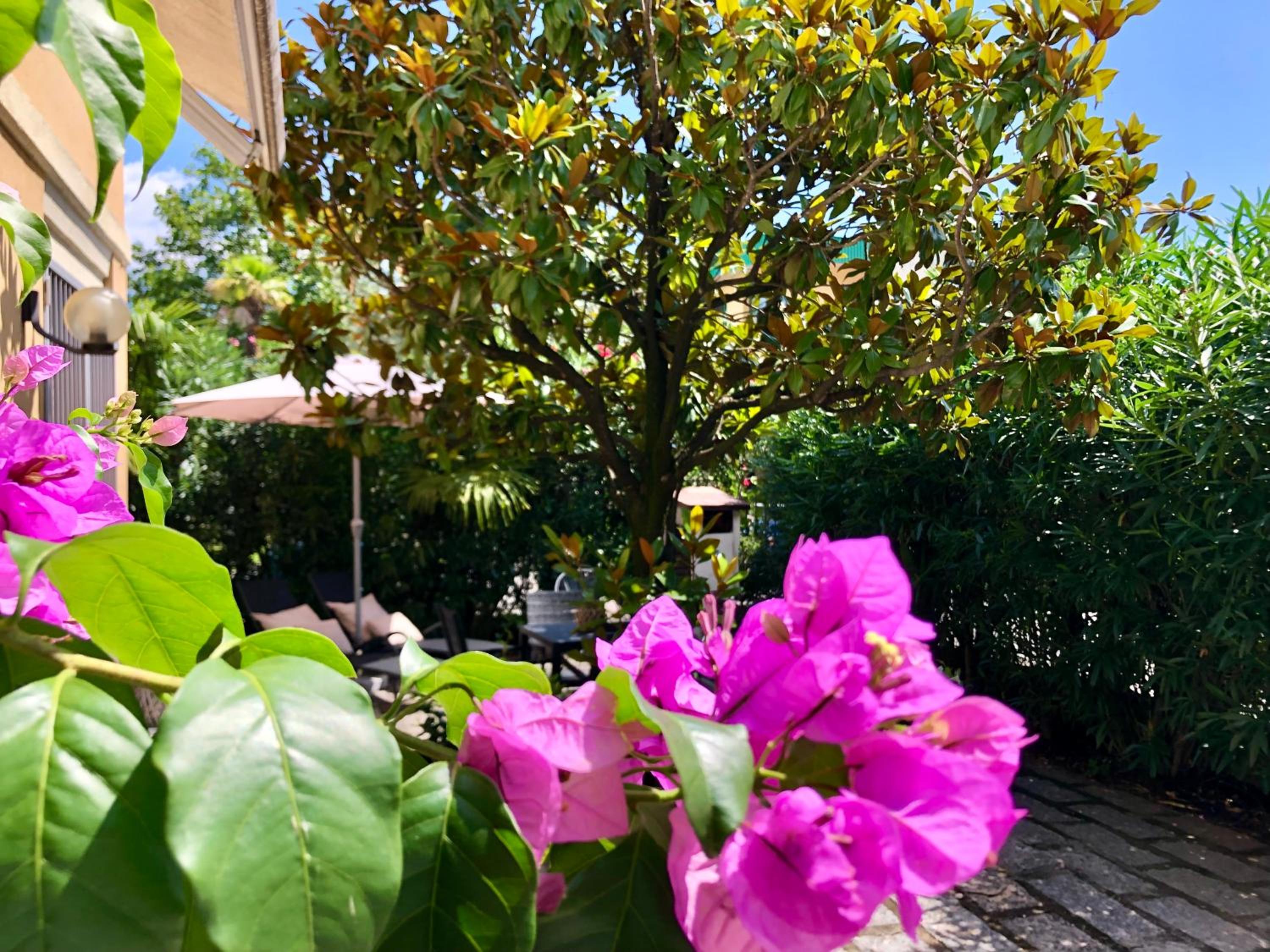 Appartamento villatorretta24 view 5