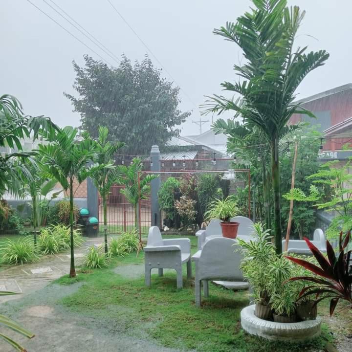 Zia Homestay view 3