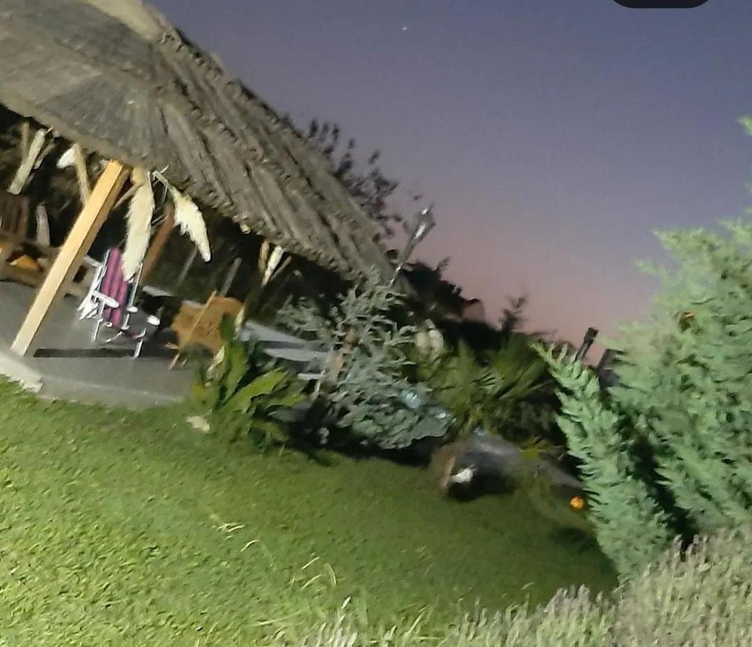 Casa Frodo Bolson