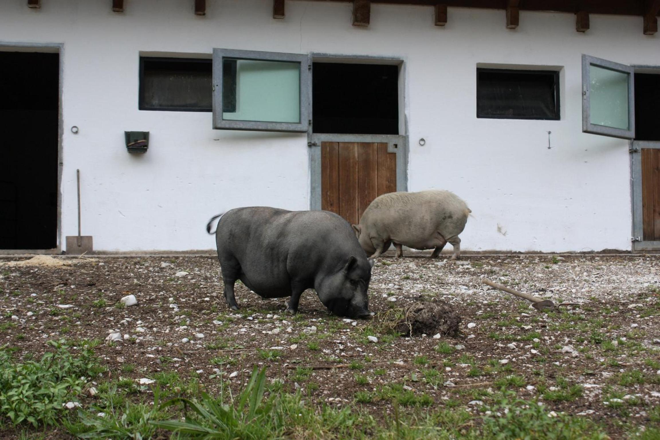 Ferienwohnung Radmer