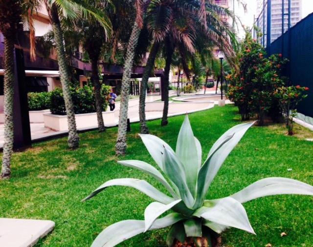 Delicioso Apartamento com Linda Vista