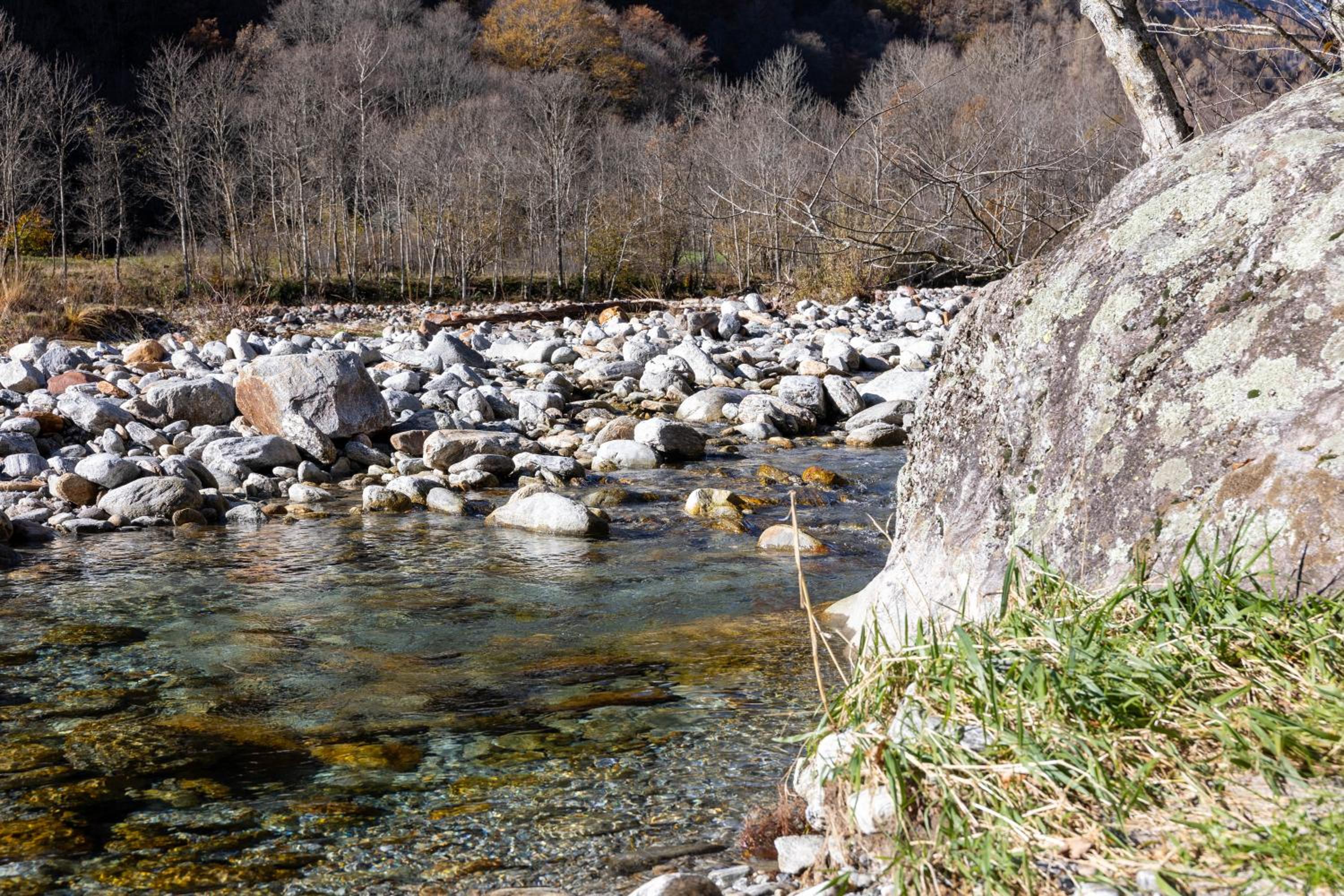 Verzasca Lodge Ofelia