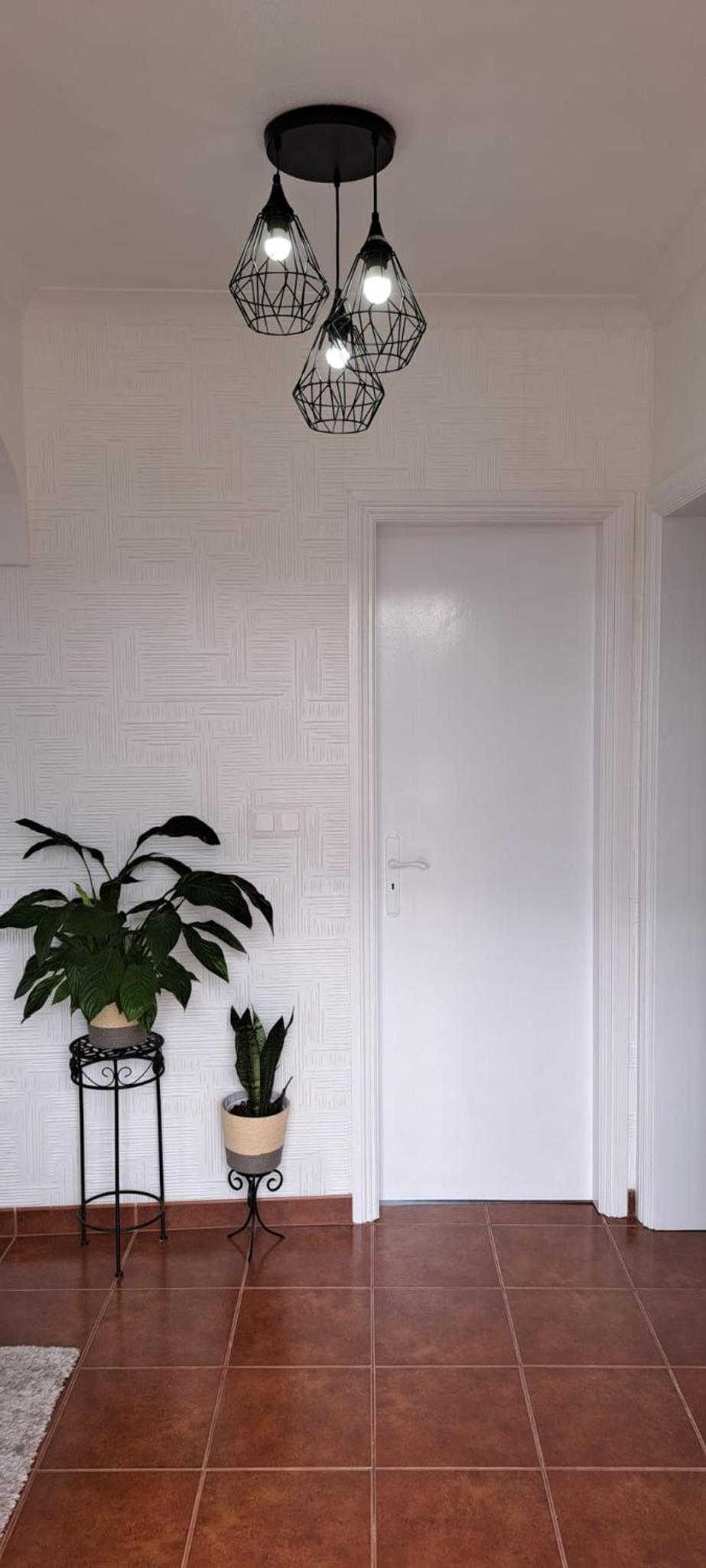 Photo 101