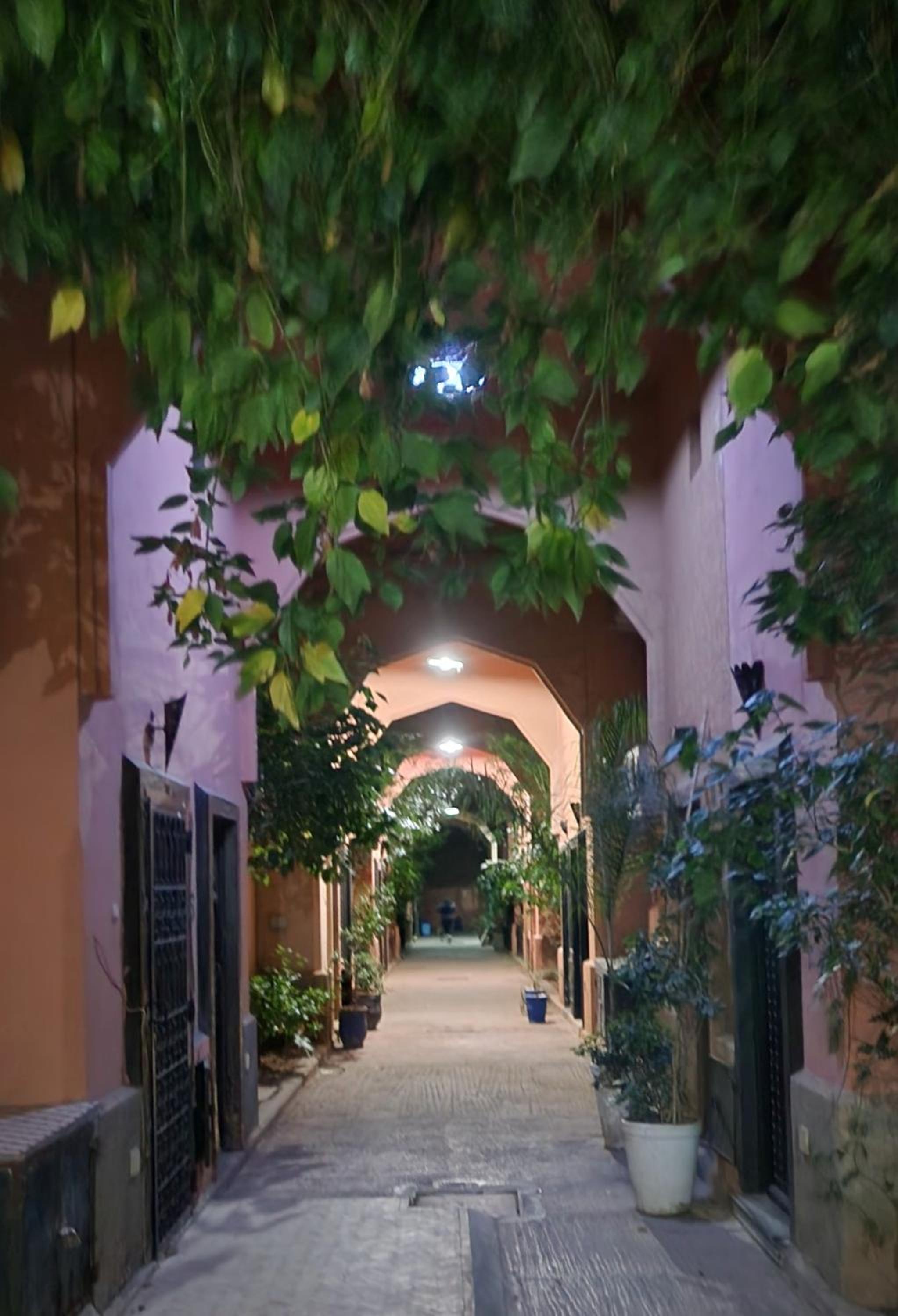 Riad with 3 Swimming Pools