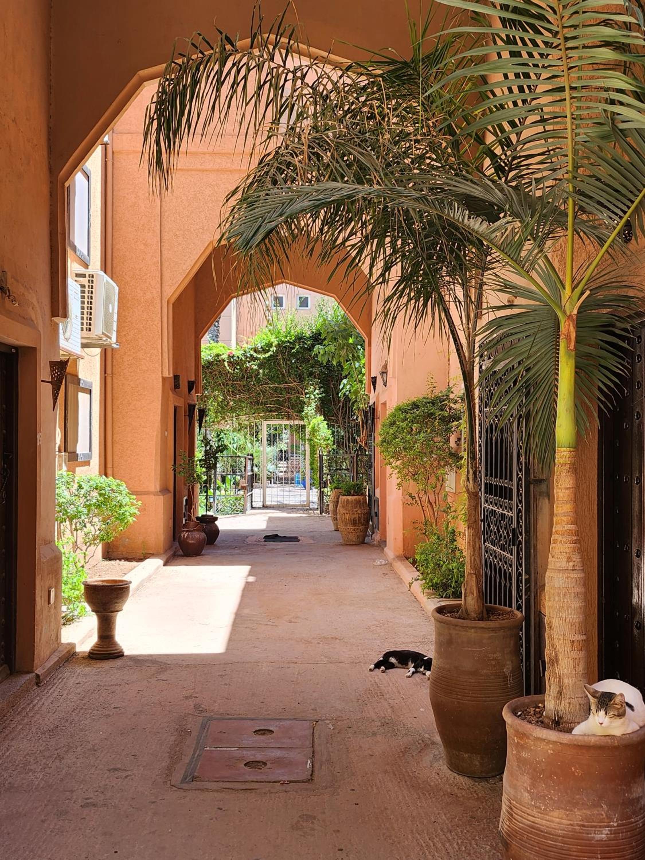 Riad with 3 Swimming Pools