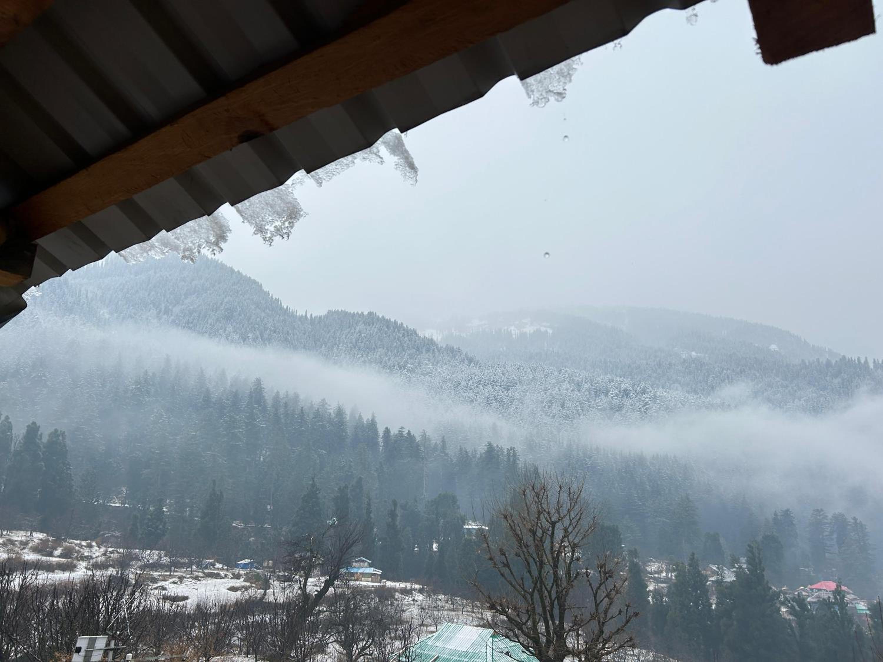 Woodstock Villa Rooms&Entirevilla Tulga