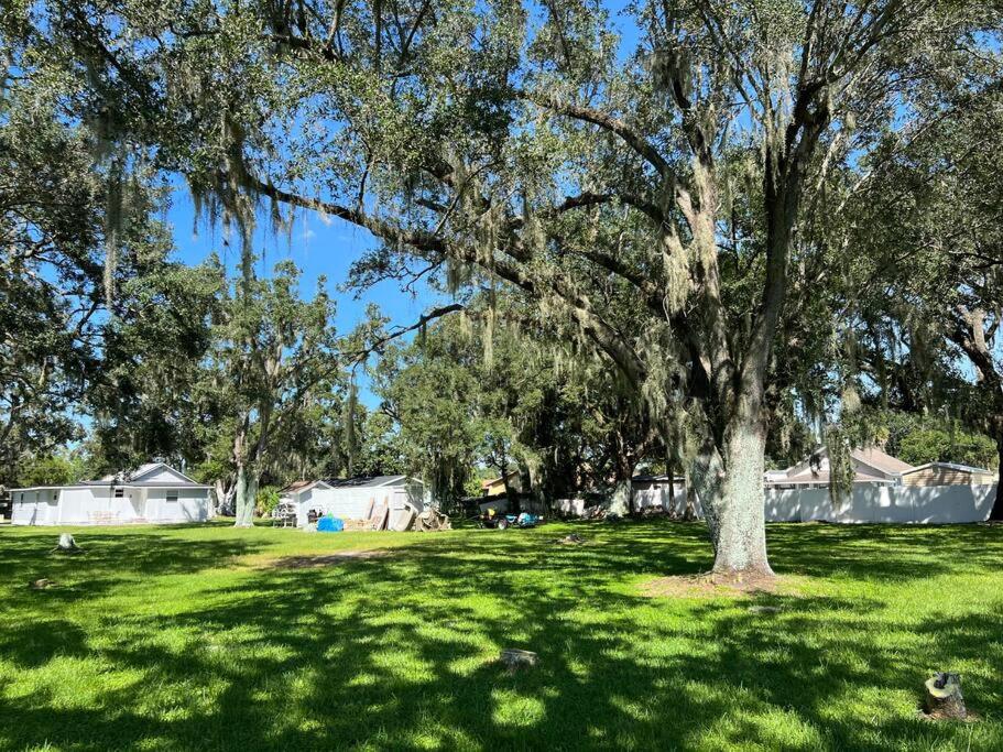 Home in Kissimmee with Huge Backyard view 2