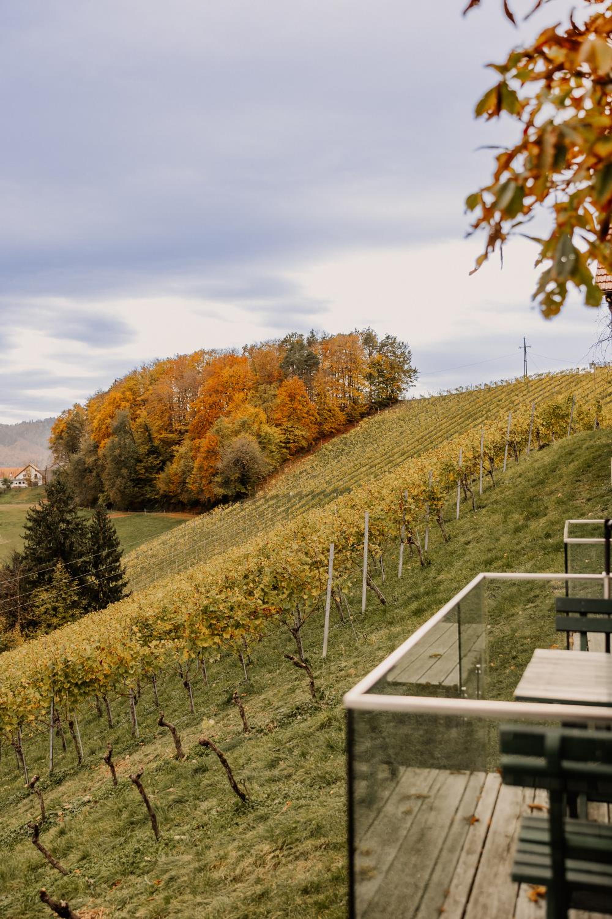 Weingut Sternat vlg. Schmalzpeter