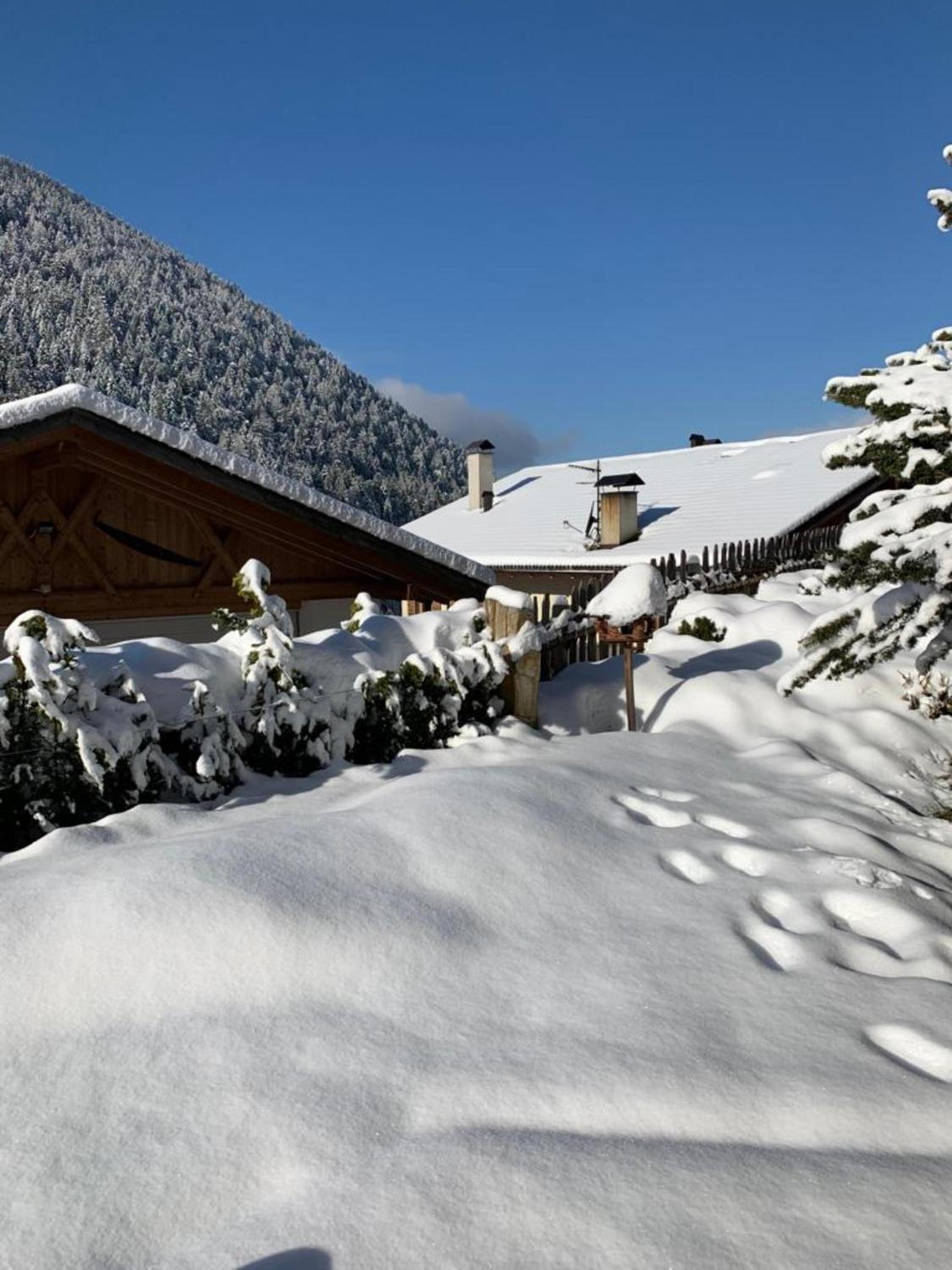 Residence Latemarblick