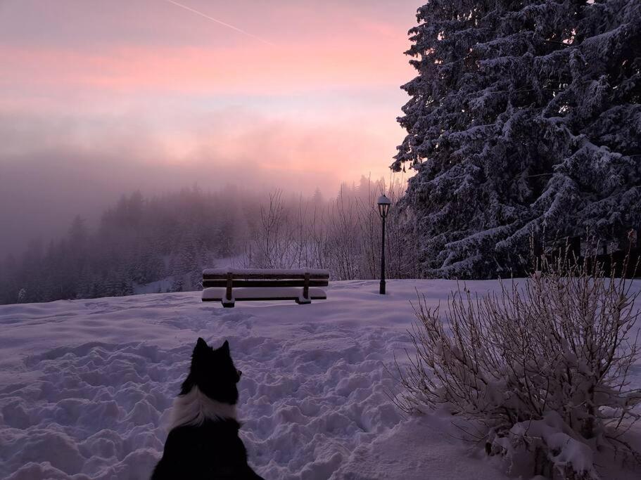 Atemberaubende Aussicht, direkter Pistenzugang