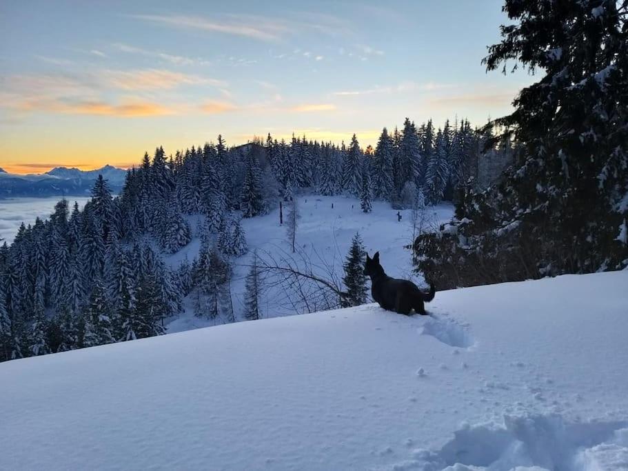 Atemberaubende Aussicht, direkter Pistenzugang
