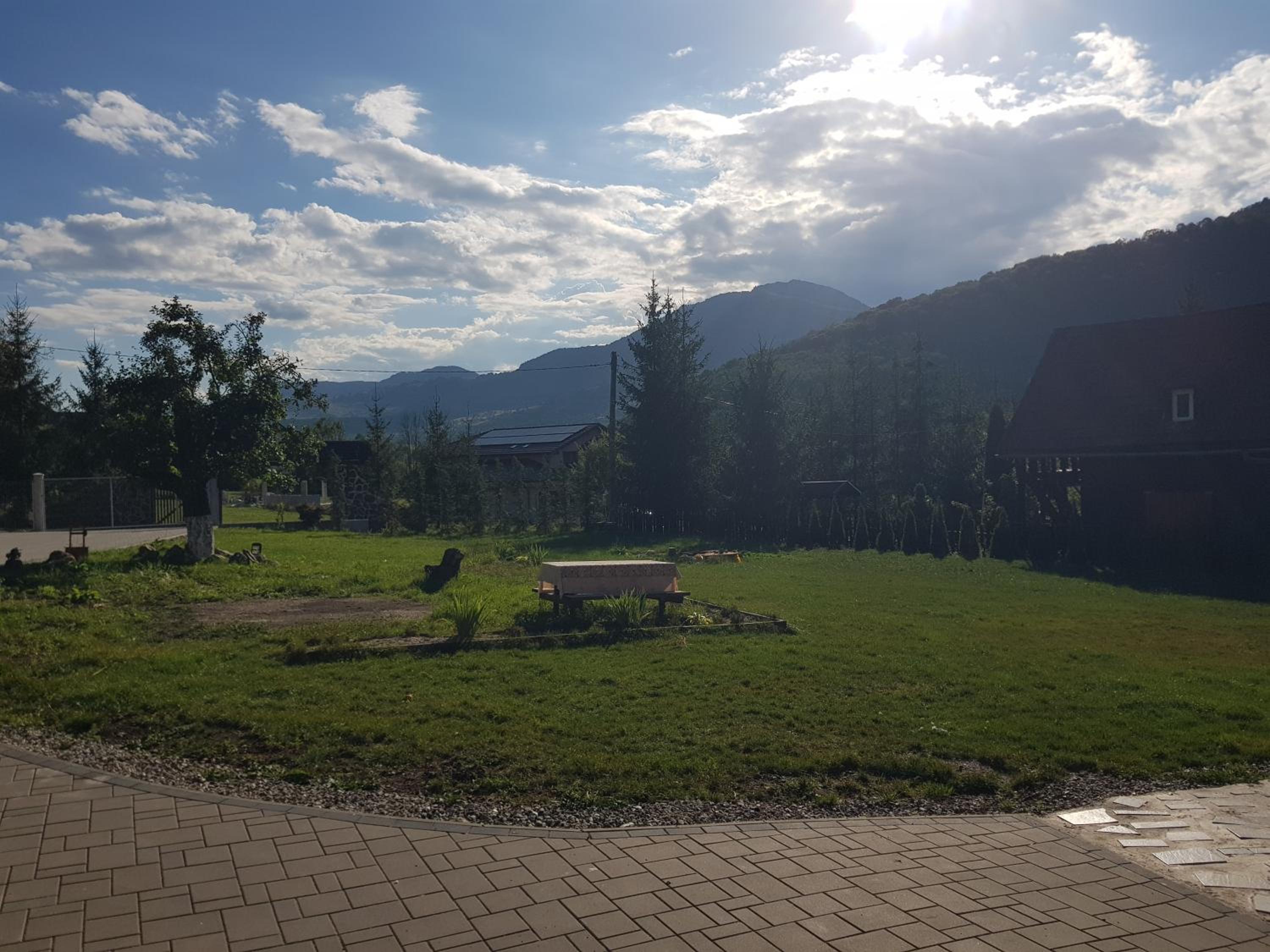 Photo 31