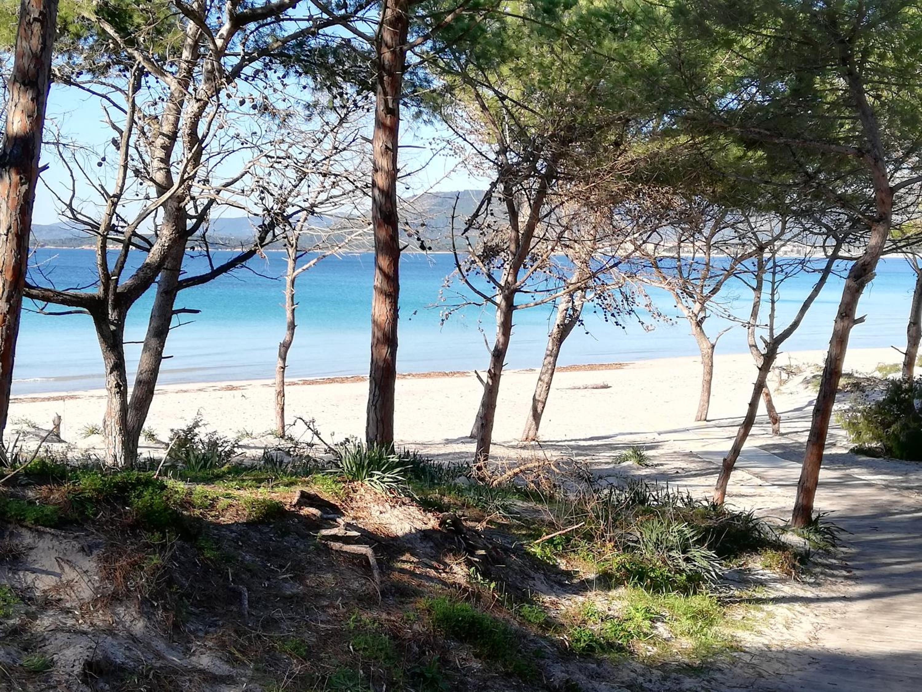 Nuovissimo appartamento con terrazza view 5