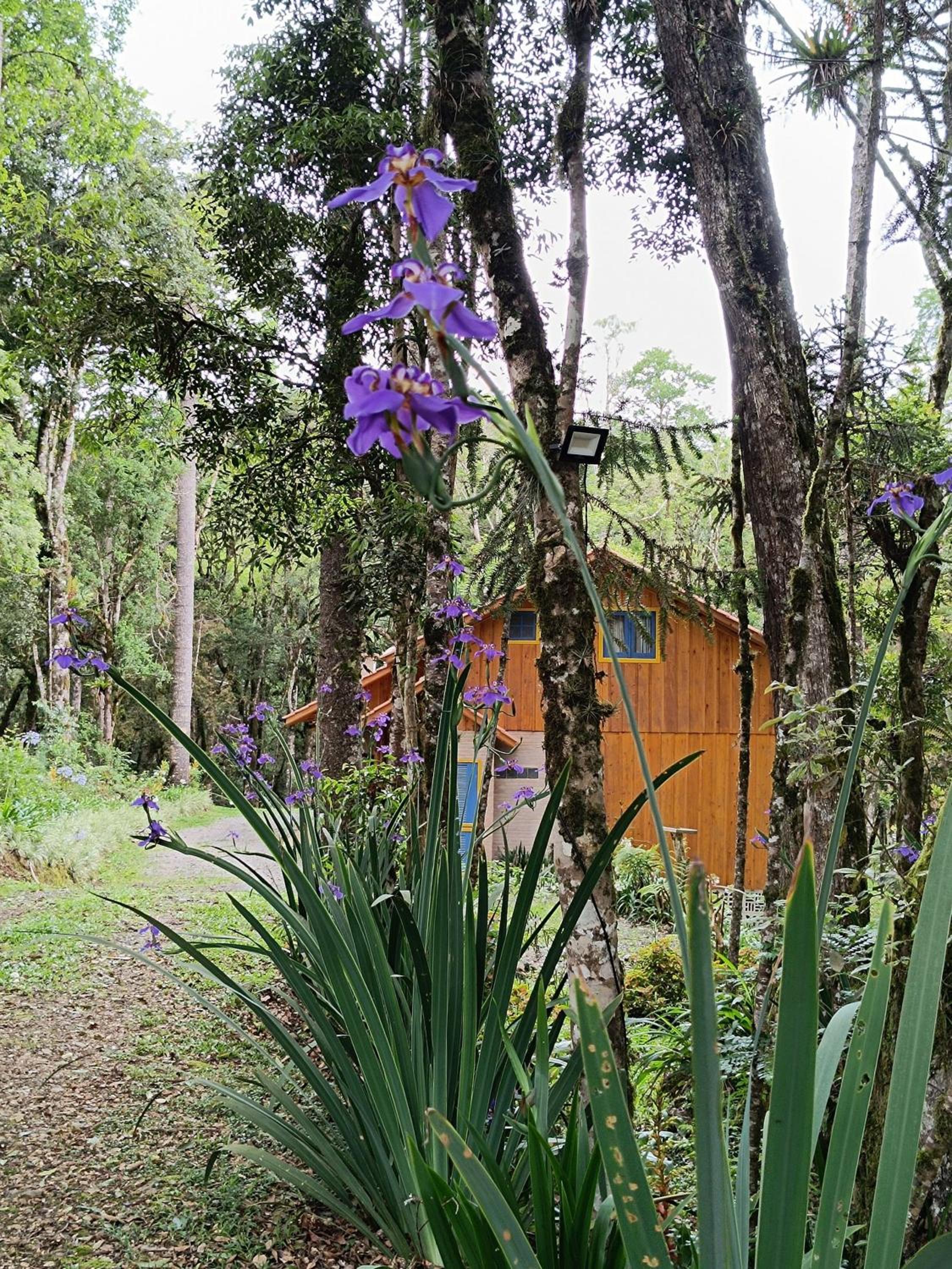 Chalé Morada Alma Gêmea Hidromassagem e Mirante