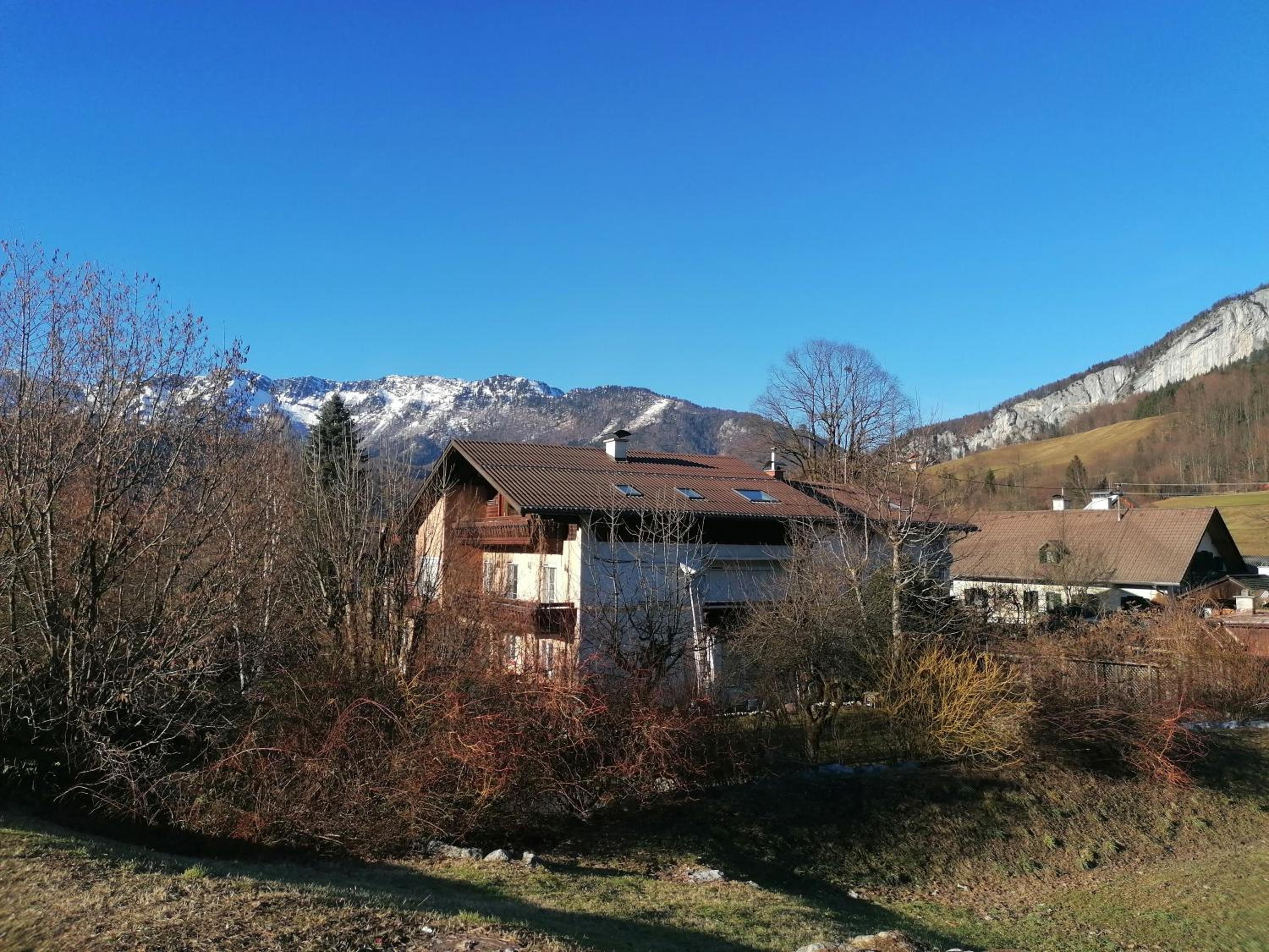 Alpenblumal