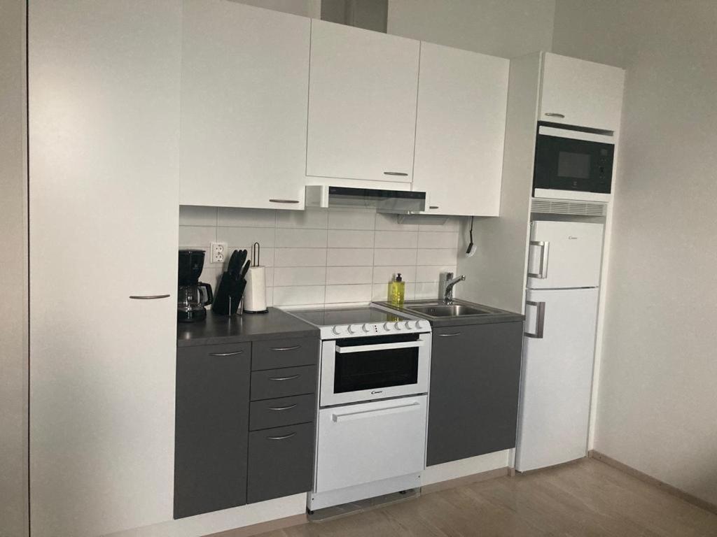 Best location city center studio with balcony and free parking Kotimaailma apartments view 5