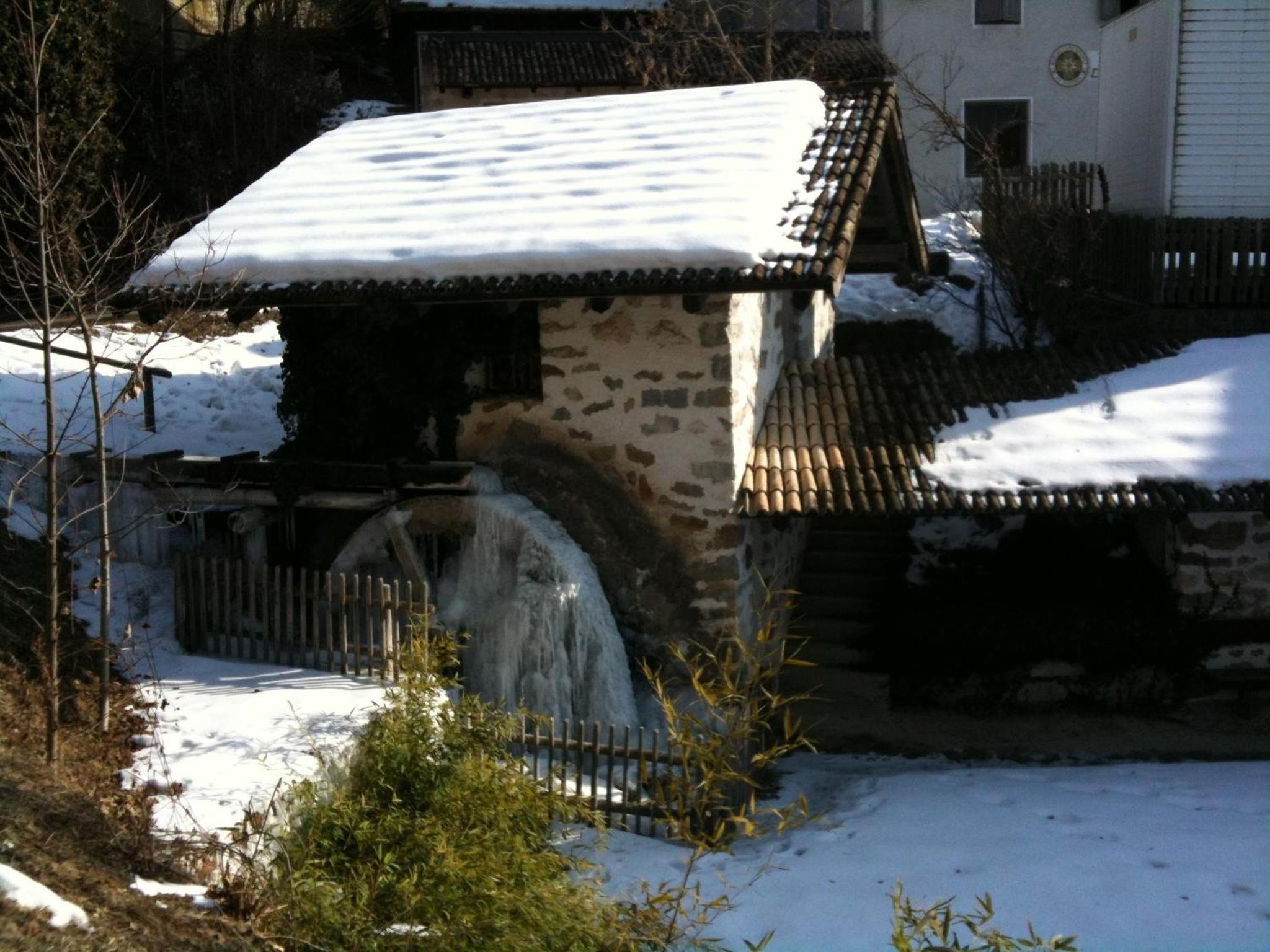 Photo 7