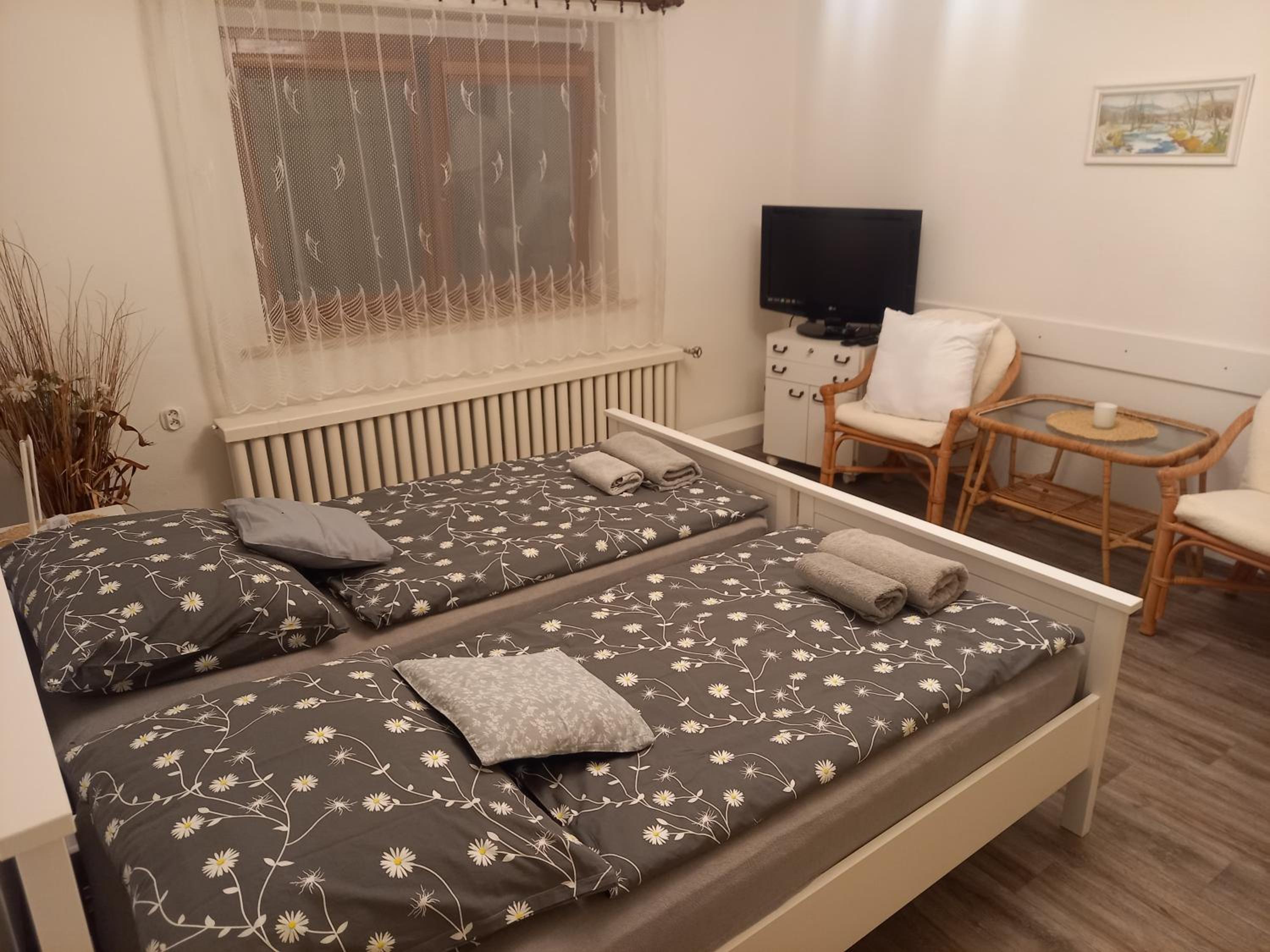 Apartmán Vysočina