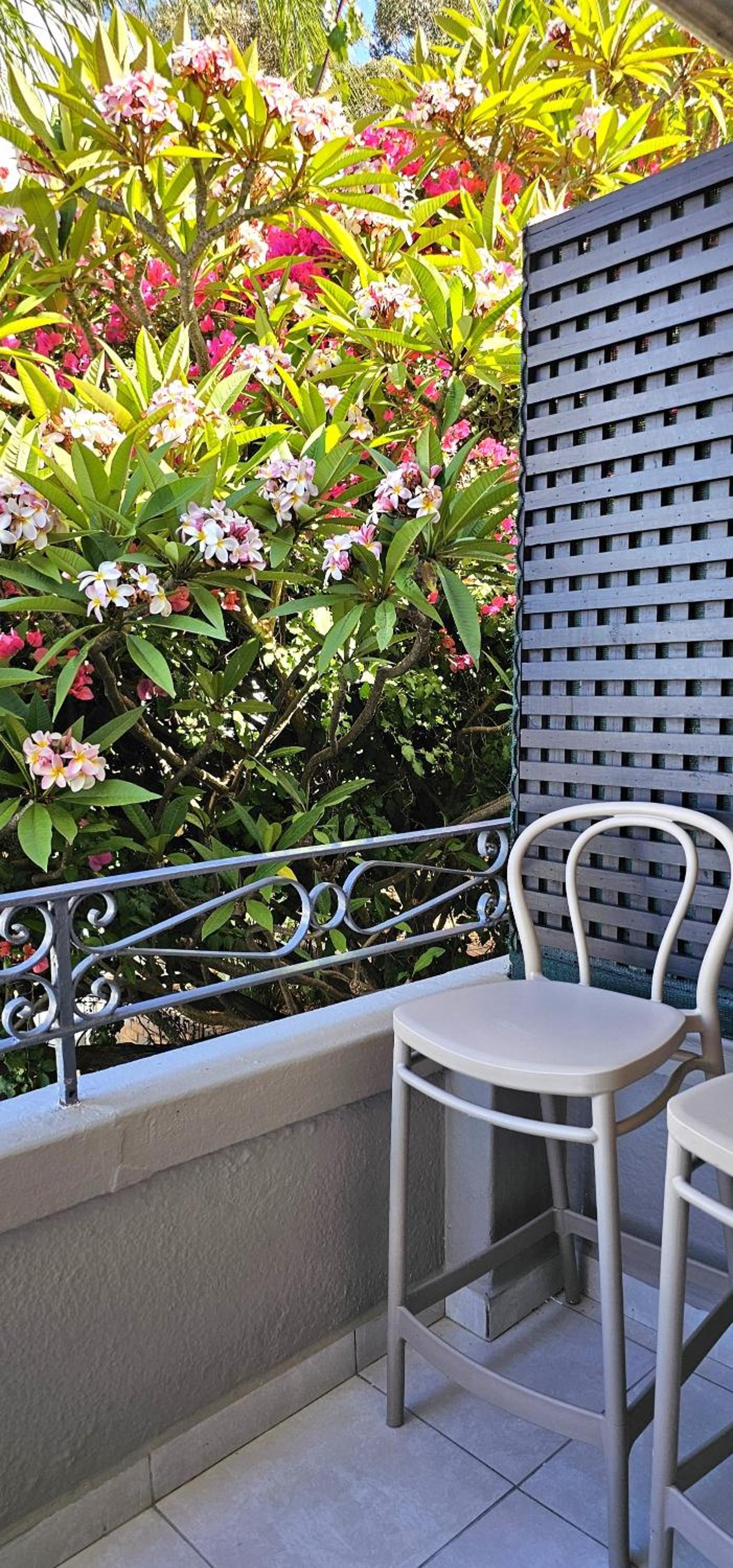 Spacious 2 bedroom Apartment - Harbour views view 4