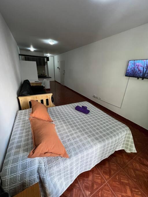 Monoambiente Belgrano Belleza