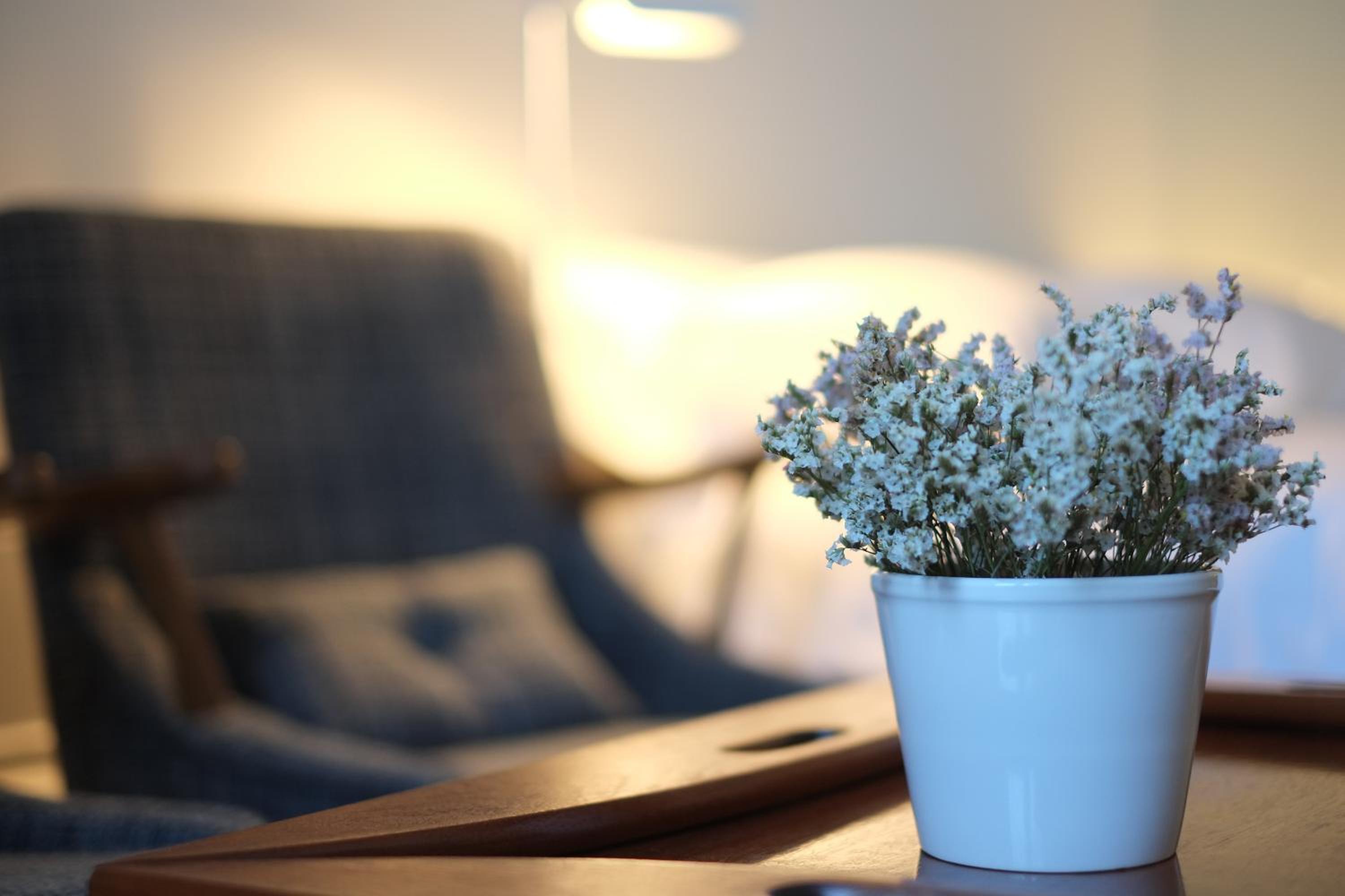 Malmerendas Boutique Lodging